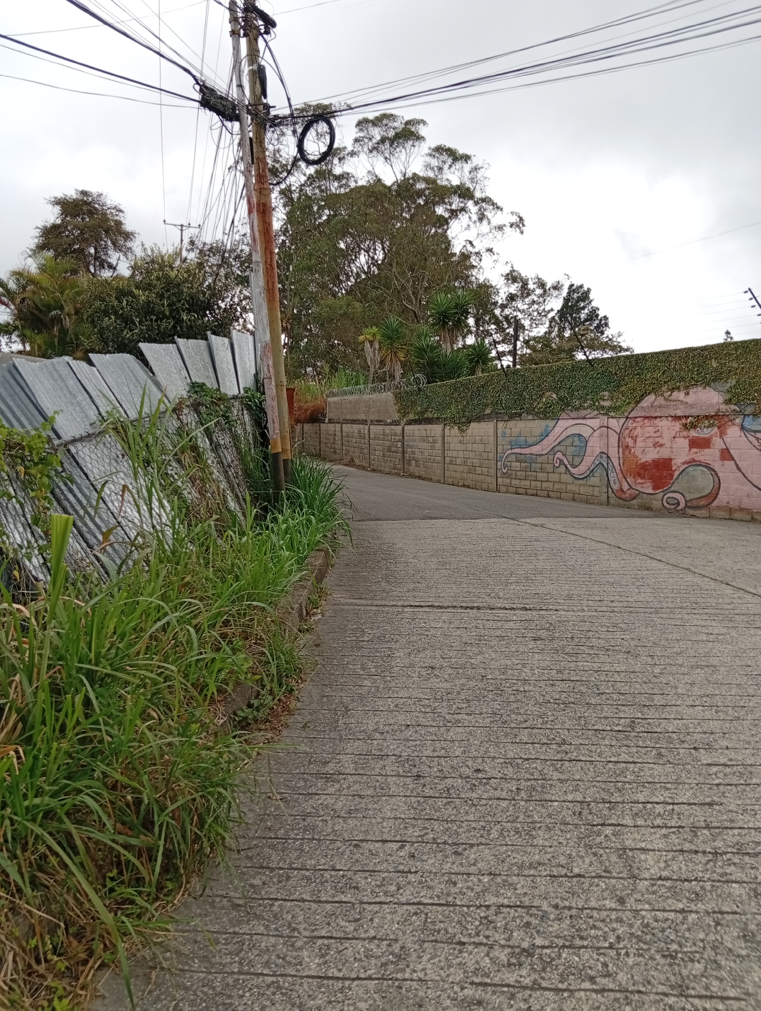 An overcast day in San Antonio de Los Altos, Venezuela, features a paved road winding uphill. On the left, a metal fence separates the road from a patch of tall, green grass and vegetation. Beyond the fence, a telephone pole with numerous wires is visible. On the right side of the road, a brick wall is adorned with a mural of a pink octopus with blue tentacles. The wall is topped with dense green ivy, and further along, another brick wall with barbed wire is visible. Trees and foliage line the top of the hill.