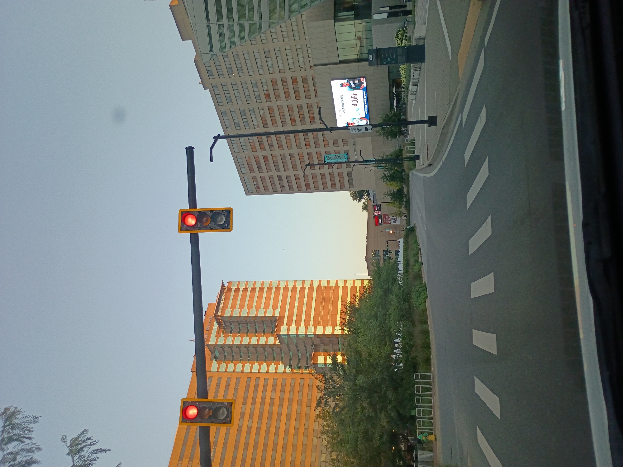 This is a street-level, eye-level, wide shot photograph taken from inside a vehicle in Lexington, Kentucky, United States of America. The scene depicts an intersection with two traffic lights showing red. One traffic light is on the left side of the road and the other is on the right. The road in front of the vehicle has white crosswalk markings.
In the background, there are two large buildings. The building on the left is a tall, orange-toned building with many windows. The building on the right is a lighter-colored building with a modern, angled facade. A large digital billboard is visible on the right building, displaying "HELP US CHILDHOOD CANCER" and "ACURE GET YOUR PLATE TODAY!". A street light is positioned between the two buildings.
There is a line of green trees and bushes in the middle ground, separating the road from the buildings. Some white decorative elements are visible behind the bushes. The sky is clear and appears to be twilight. The overall impression is an urban street scene at dusk.
