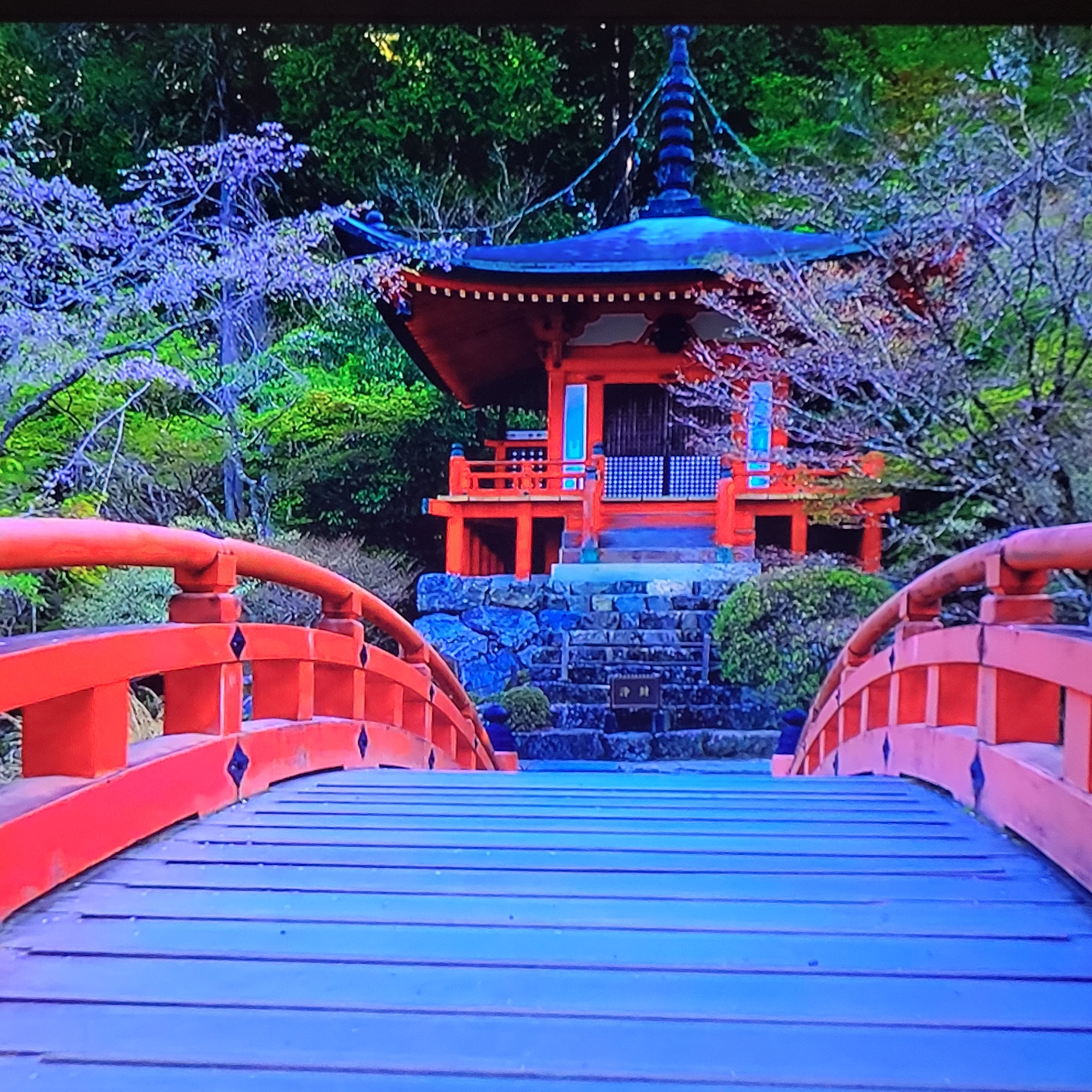 A serene scene features a traditional Japanese-style structure in a lush, green environment. The structure, likely a pagoda or temple, is painted in red with a dark roof and intricate architectural details. A small bridge, also painted red, leads towards the structure. The bridge has a gently curving form with vertical supports. Flowering trees with lavender blossoms surround the structure, adding a touch of color and tranquility to the scene. Stone steps ascend towards the temple. The background consists of a dense forest, creating a peaceful and natural setting.
There is no evidence that the image is located in Yerevan, Armenia. It is a Japanese garden.