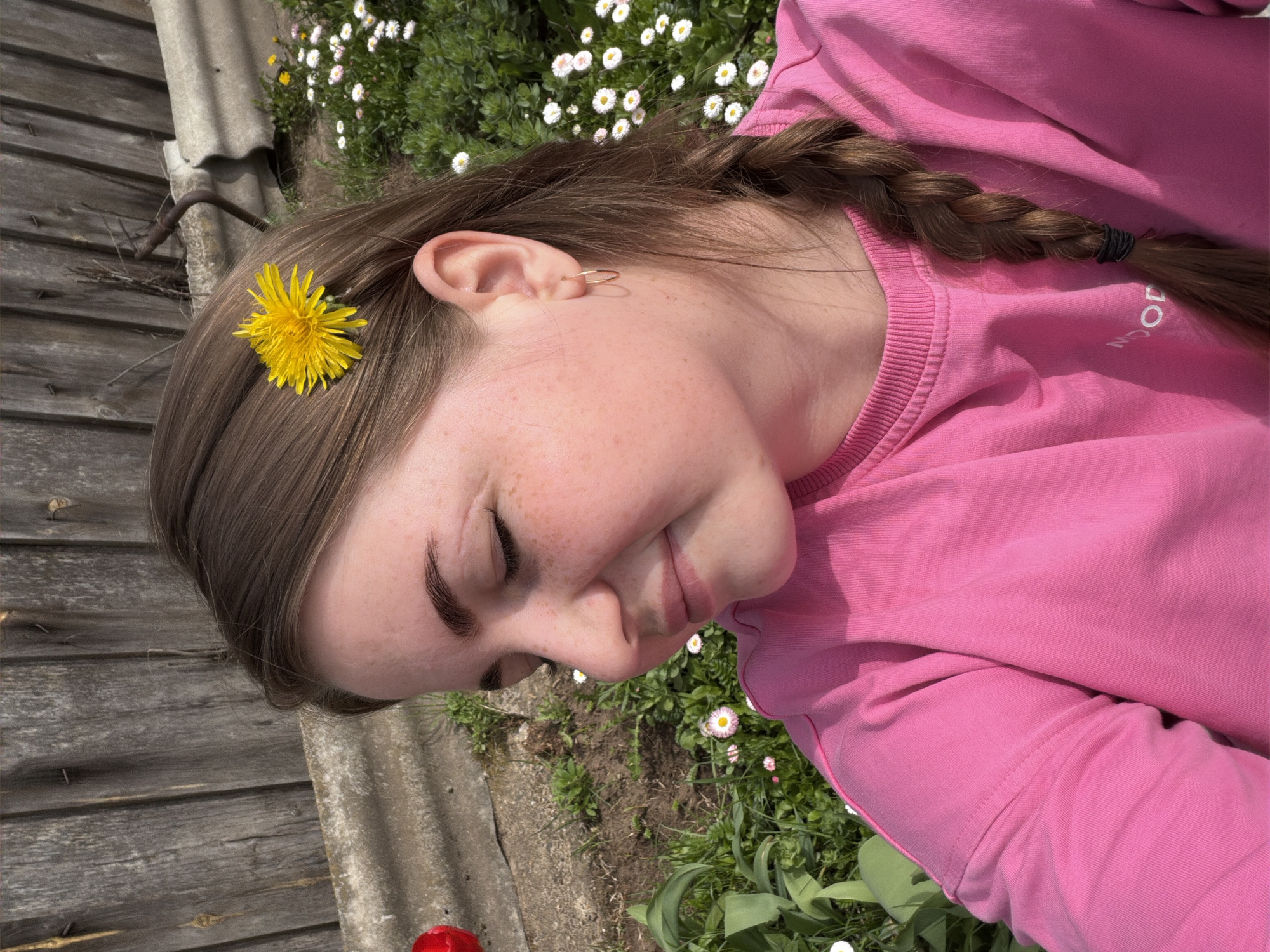 A young girl with a braid in her hair is lying in a field of daisies in Уральское, Russia. She is wearing a pink shirt and has a yellow dandelion in her hair. The girl is lying near a wooden fence, which has a sheet of roofing material attached. A red tulip is visible in the corner of the frame.