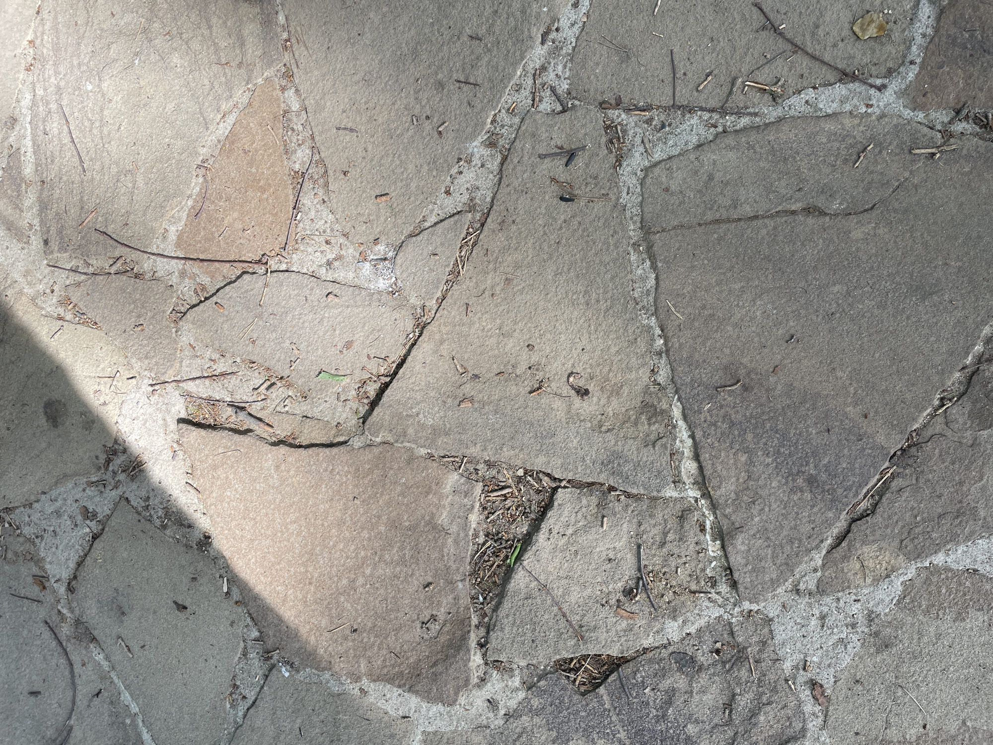 This image depicts an outdoor ground surface in the city of Vologda, Russia. The surface is constructed from irregularly shaped flagstones or paving stones, presenting varied tones of grey, brown, and reddish-brown. The spaces between these stones are filled with a lighter grey, somewhat coarse-textured mortar or concrete. The joints and stone surfaces exhibit accumulated organic debris, including numerous small dry twigs, branches, and fragments of leaves; a single small green leaf is also visible. A distinct, sharp-edged diagonal shadow crosses the upper left quadrant of the frame, indicating direct sunlight from an unseen source and creating a clear delineation between brightly illuminated and shaded areas. No people, animals, or identifying urban structures beyond the paving are present.