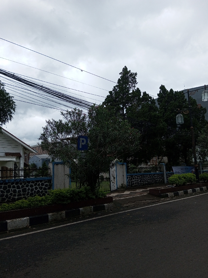 The image displays an overcast street scene in Vaatharawattai, Sri Lanka, characterized by a dark asphalt road in the foreground, bordered by a low concrete planter with black and white painted sections containing small green shrubs. A cracked paved entrance leads into a property behind the planter. This property features a low stone wall with a white and blue painted top, and a partially obscured black metal gate. A dense, dark green tree stands centrally within the property, partially obscuring the gate and a blue rectangular sign with a white 'P' (parking symbol). To the left, a white building with a pitched roof is partially visible. To the right, behind several tall evergreen trees, a darker building with decorative wall-mounted lantern-style fixtures is present. An ornate black streetlight pole with two lantern fixtures stands near this building. The upper portion of the scene is dominated by a uniform, overcast grey sky, crisscrossed by numerous black utility lines. No individuals or active interactions are observed.