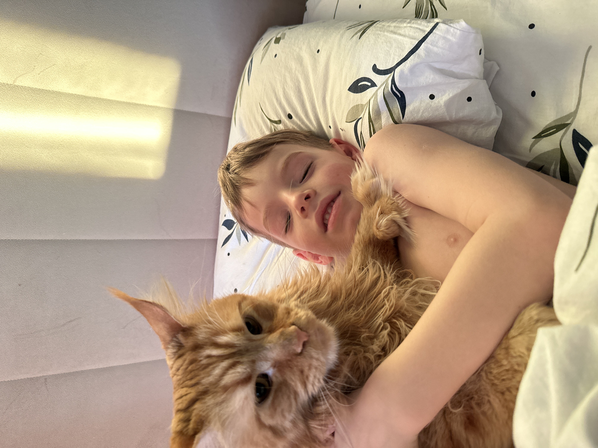 The image depicts an indoor scene within a private residence in Chaikovsky, Russia; specific location details within the city are not discernable from the visual evidence. A fair-skinned male child, appearing approximately 5-10 years old, is lying shirtless on his back in a bed, eyes closed and mouth slightly open, indicating a state of sleep or deep rest. He is positioned on a white pillow featuring a pattern of dark green, light green, and dark blue leaves, interspersed with small black dots. Resting on the child's upper torso and shoulder is a large, long-haired orange cat, consistent with a Maine Coon breed, distinguished by its prominent ear tufts and amber-colored eyes. The child's left arm is visible, positioned around the cat, suggesting he is cradling or holding it. The background features a light-colored, upholstered headboard and a plain wall behind it. A distinct vertical beam of natural sunlight illuminates a section of the wall to the upper right of the frame. White bed linens, some matching the pillow's pattern, are visible. The scene is consistent with a domestic bedroom environment.