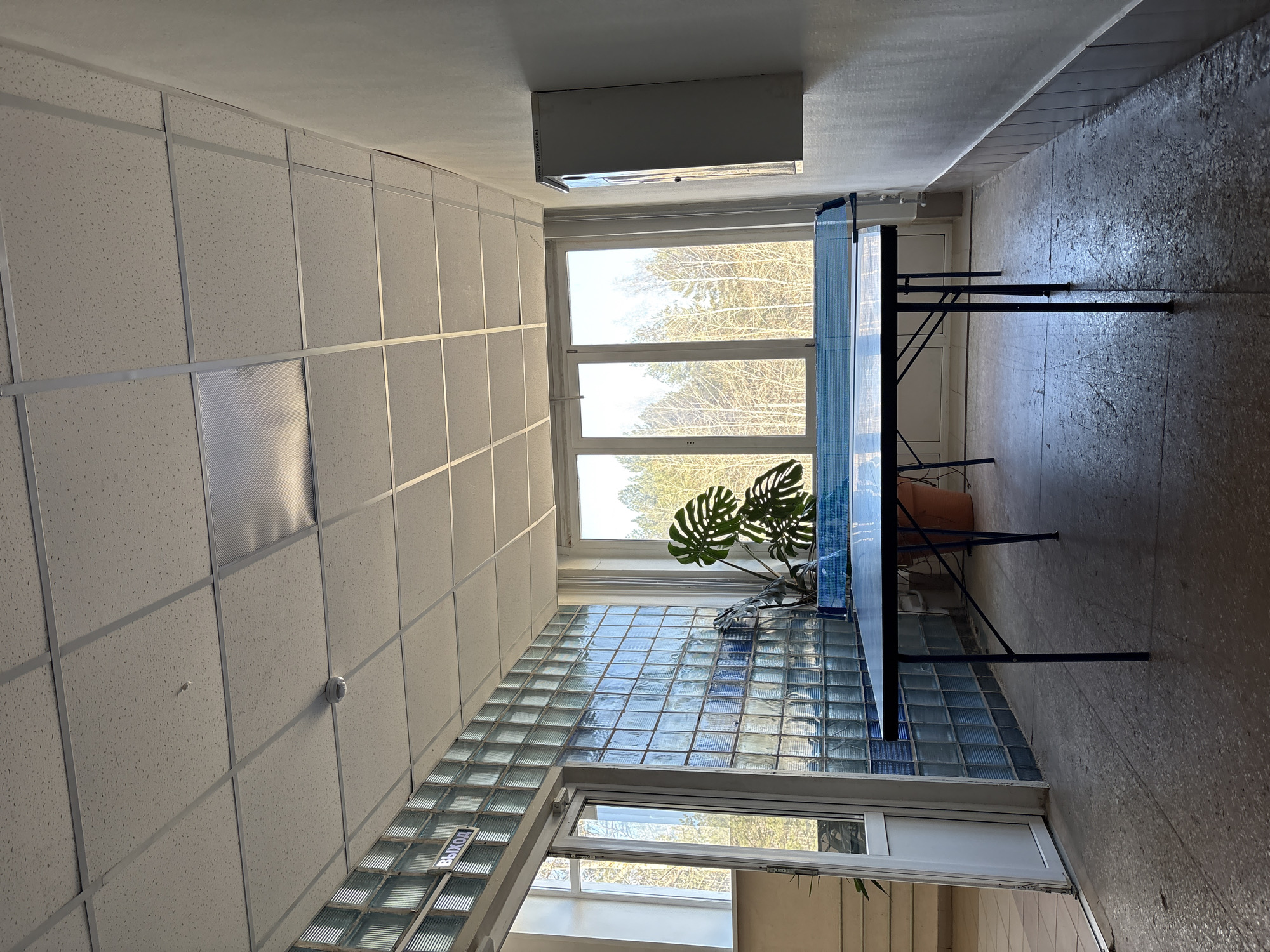 The image captures an interior hallway or common area, brightly lit by natural light. The ceiling features a grid of white acoustic drop ceiling tiles, with one visible recessed light fixture and a round smoke detector/fire alarm.
One prominent wall is constructed from clear glass blocks, allowing light to pass through. Above this glass block wall, a large window provides a view of an outdoor scene with bare trees against a bright sky, suggesting daytime during a season without foliage (late autumn, winter, or early spring). A white-framed door is visible at the bottom of the frame, near the base of the glass block wall. High up on the opposite wall, a rectangular ventilation unit or light fixture is mounted.
In the center of the room, a blue-topped table with dark metal legs, resembling a ping-pong table or a long workspace, is positioned. Beneath the table, a large green Monstera plant in a dark pot adds a natural element, alongside a smaller orange terracotta pot. The floor is a light-colored, textured surface, possibly worn concrete or linoleum.
No people are visible, and no specific activity is taking place in the empty space. Visible text includes the Russian word "ВЫХОД" (EXIT) on a sign attached to the glass block wall, and a product code "ЛУ 2-960-ДВО2.РУ" on the rectangular unit. The bright light and functional design suggest an institutional or public building setting in Chaikovsky, Russia.