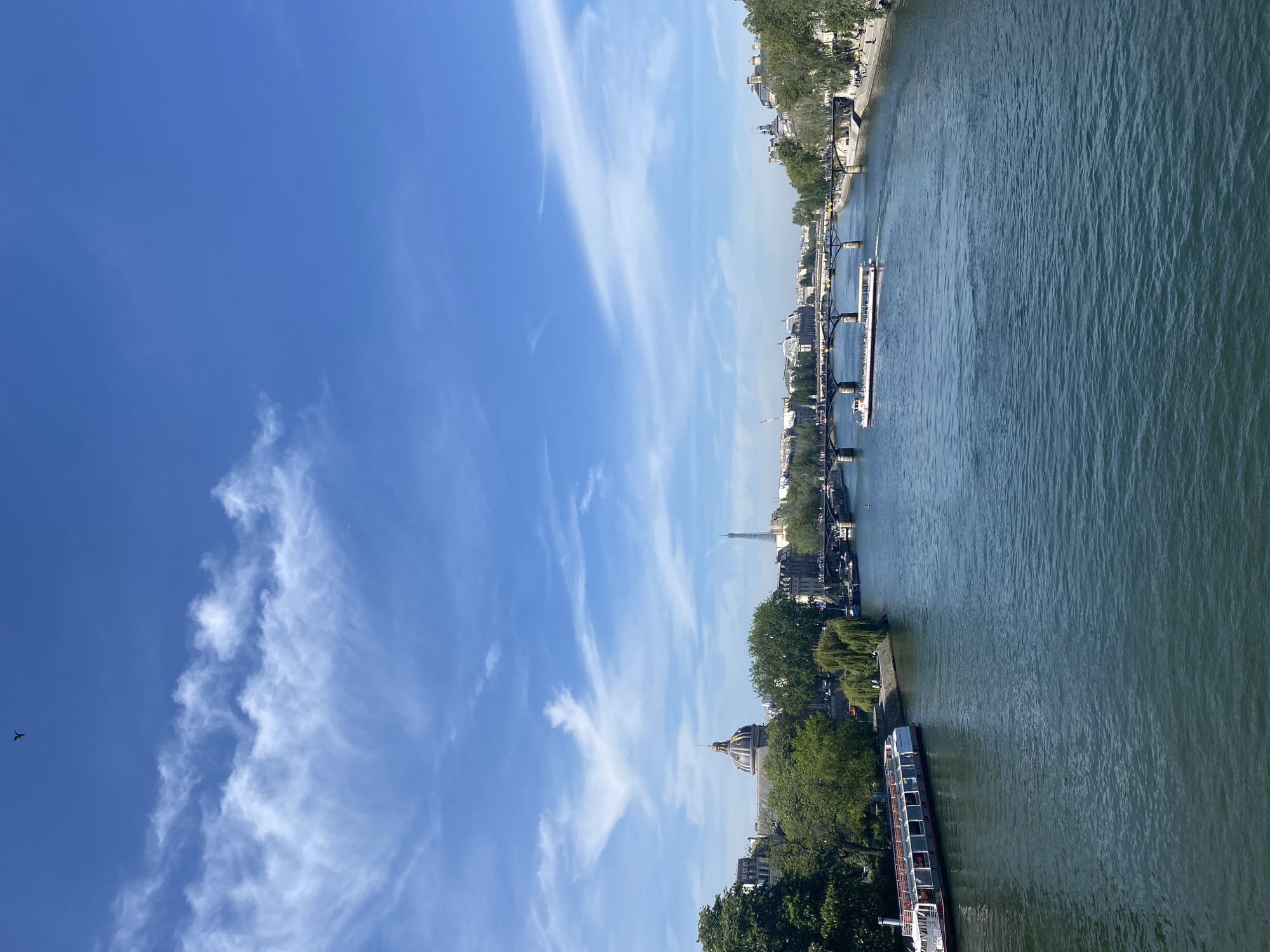 The image depicts a section of the Seine River in Paris, France, under a blue sky with wispy clouds. The river flows vertically in the frame, with both banks lined with trees and buildings. A low structure with a dome is visible along the riverbank. In the background, the Eiffel Tower rises above the buildings and trees. A boat is positioned on the river. A black bird is visible in the sky, far left.