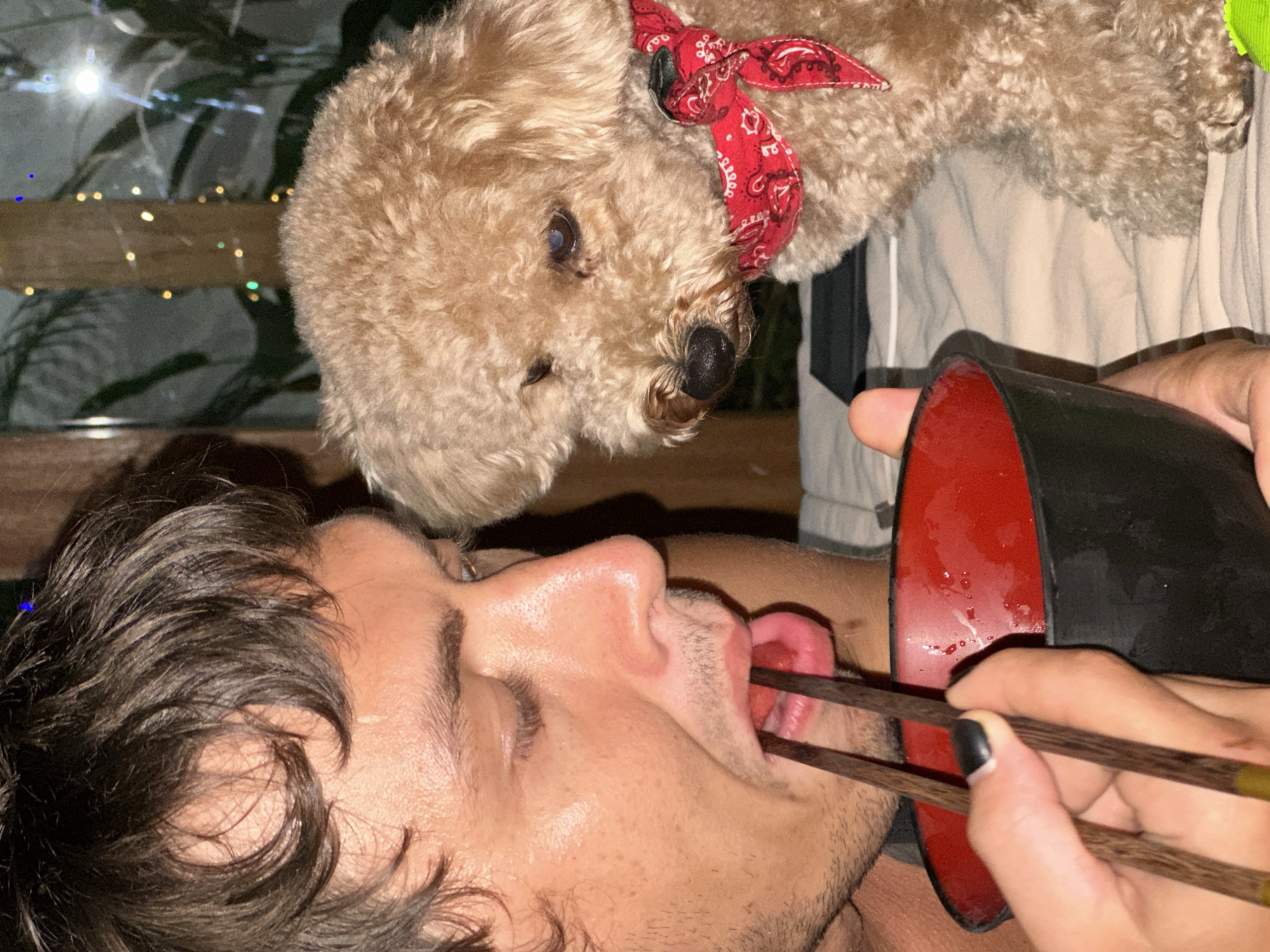 A man is lying on his back with his mouth open while another person holds chopsticks up to his mouth. A bowl with a red interior and black exterior is also present near the man's mouth. Above the man, a brown dog with a red bandana looks down toward him. The setting appears to be outdoors, possibly a patio, with foliage visible in the background. The city of North Kuta, Indonesia, cannot be determined from the image.