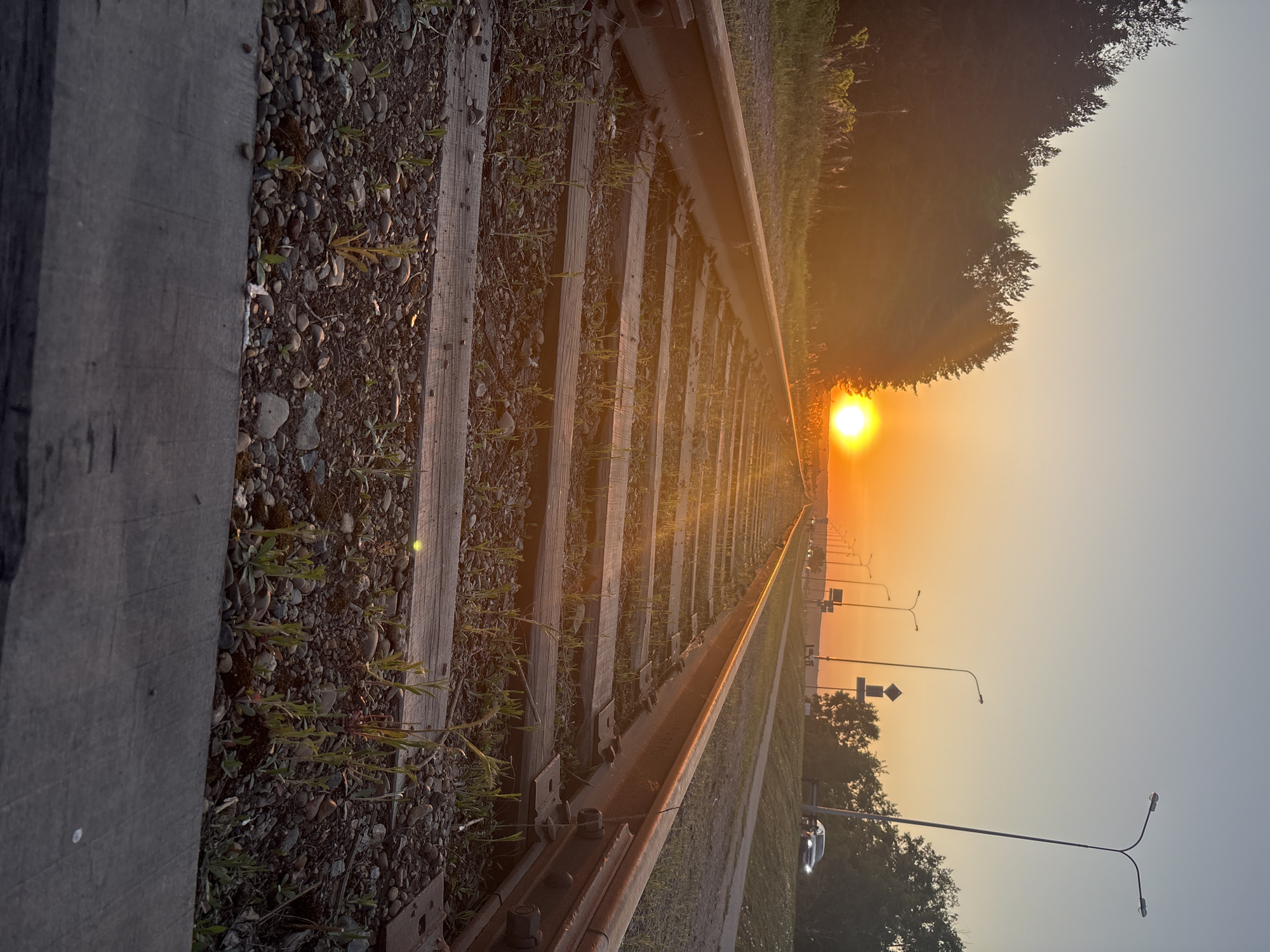 The image depicts a railway track stretching into the distance towards a rising or setting sun. The location is inferred to be near or in the city of Chaikovsky, Russia. The tracks are surrounded by gravel and some sparse vegetation. Alongside the tracks, there is a road with streetlights visible. A forested area flanks the road and tracks, suggesting a location on the outskirts of the city. There are no people visible in the image. The focus is on the converging lines of the tracks and the sun, creating a strong perspective effect.