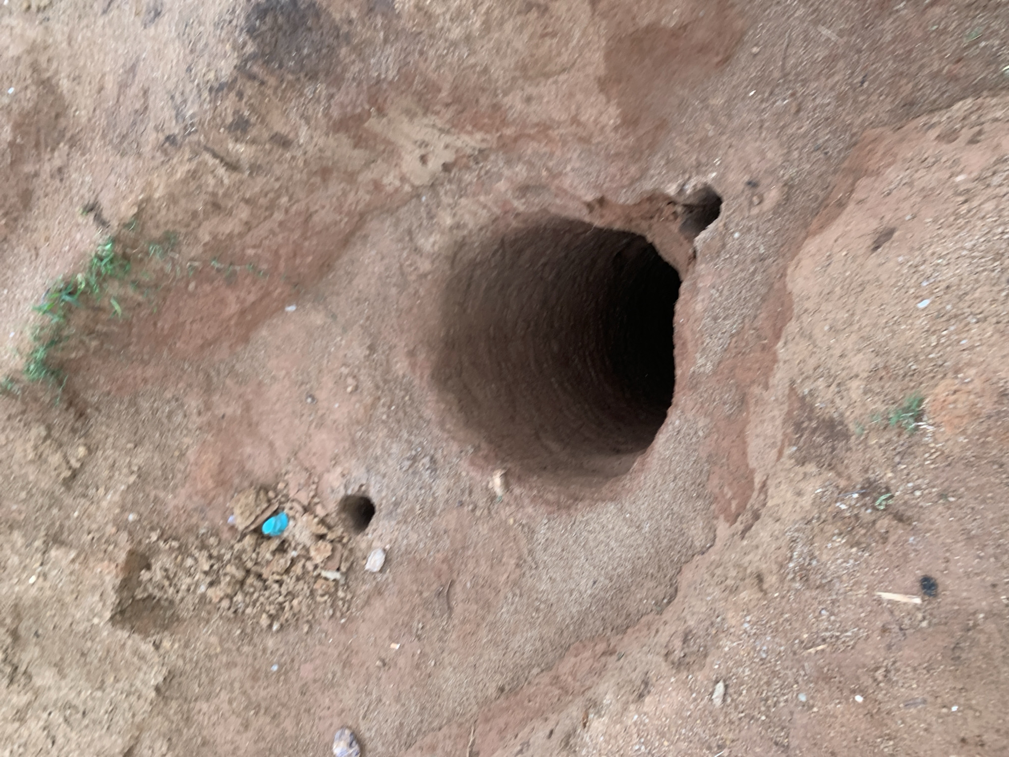 In Buga da Gindi, Nigeria, a circular well, approximately one meter in diameter, has been excavated in reddish-brown soil. The well descends into darkness, with its depth not discernible from the image. Surrounding the well are the excavated soil mounds, creating an uneven terrain. A small pile of loose dirt is located to the left of the well, and a bright blue object, possibly a piece of plastic, rests atop it. A smaller, darker hole, approximately 10 centimeters in diameter, is visible near the rim of the main well. Sparse green vegetation grows along the upper edge of the excavated area.