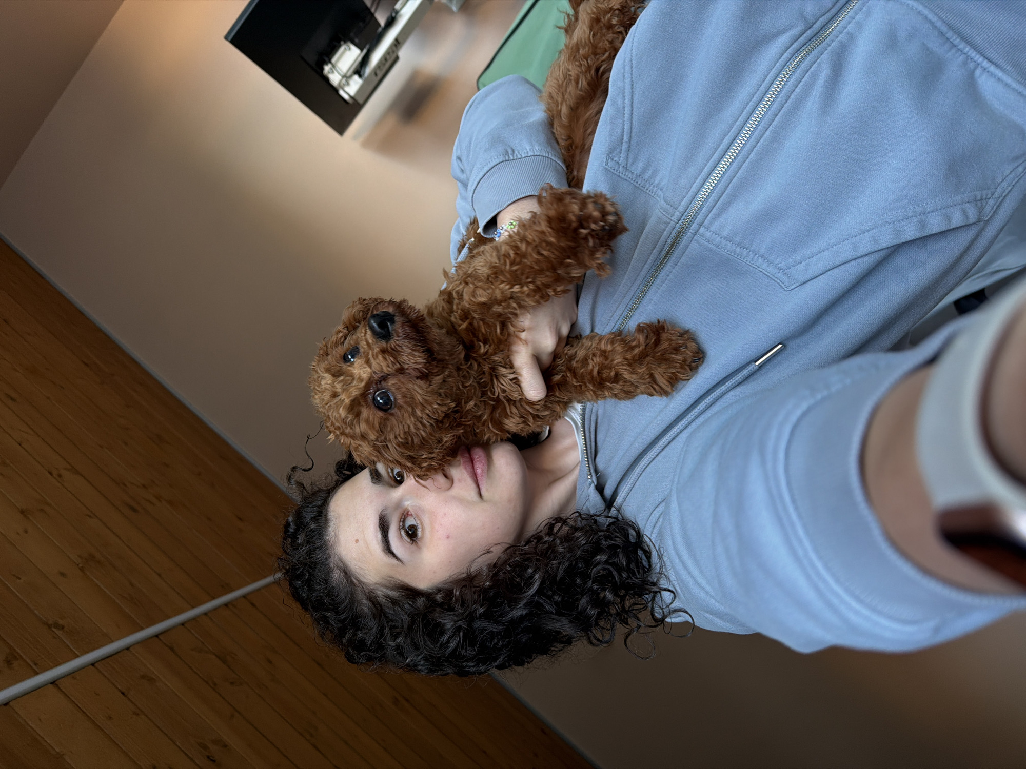 A person is holding a small, brown, curly-haired dog. The person is wearing a light blue zip-up hoodie and has dark, curly hair. The dog is nestled in the crook of the person's arm, facing the camera. The background is out of focus, showing a wall and what appears to be a wooden floor. The lighting suggests an indoor setting, possibly a home. There is no visible indication of the location being in the city of Sofia, Bulgaria.