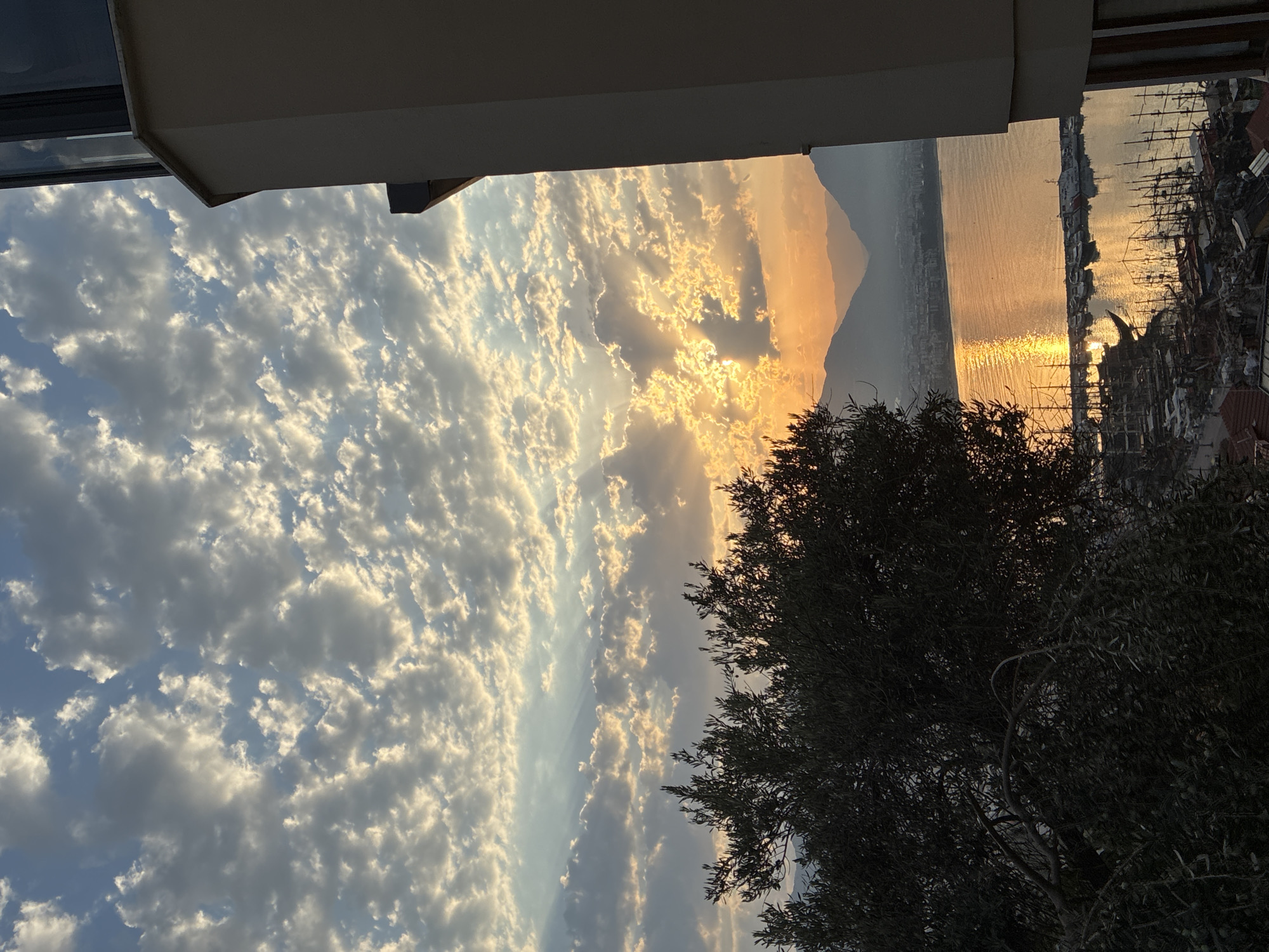 The image depicts a scenic view of Alanya, Turkey, at sunset. The sky is filled with dramatic clouds, with the setting sun casting a golden glow across the scene. Rays of light stream through the clouds, illuminating the water and the cityscape below. The foreground features the silhouette of an olive tree, its branches reaching towards the sky. To the right, a portion of a building is visible, its modern architecture contrasting with the natural beauty of the landscape. Below, a harbor is dotted with numerous boats and yachts, their masts creating a complex pattern against the water. The city of Alanya stretches along the coastline, with mountains visible in the distance, their peaks softened by the hazy light. The overall impression is one of tranquility and natural splendor, with a touch of urban life integrated into the view.