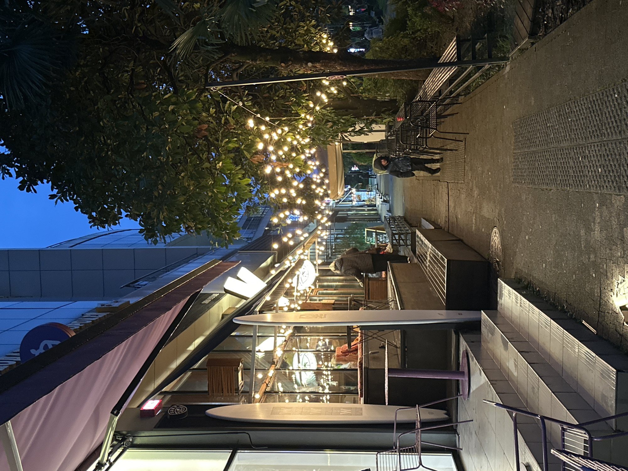 The image shows a commercial street scene at dusk, likely in a city. A building on the left has a distinctive awning, and its glass facade displays surfboards and furniture. Rows of lights are strung overhead through trees, illuminating the sidewalk. A person is sitting on a bench. On the right is a concrete walkway and a metal fence. The time of day appears to be evening, with twilight visible in the sky. There is no evidence to suggest the image is taken in Sochi, Russia.