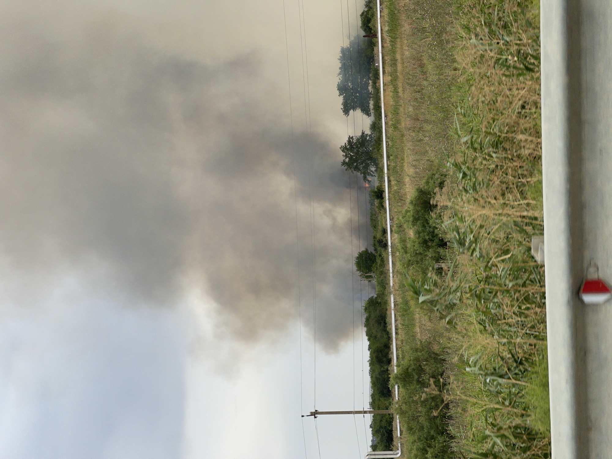 The image depicts a smoky scene in Pokoinoe, Russia, likely a fire in the distance. A large plume of dark gray smoke billows upwards into an overcast sky. The smoke originates from behind a line of trees and vegetation. In the foreground, a field of tall grass and corn stalks is visible, separated by a grey concrete barrier. A utility pole with electrical wires stands to the left of the frame. The overall impression is of an industrial or rural area affected by a significant fire.