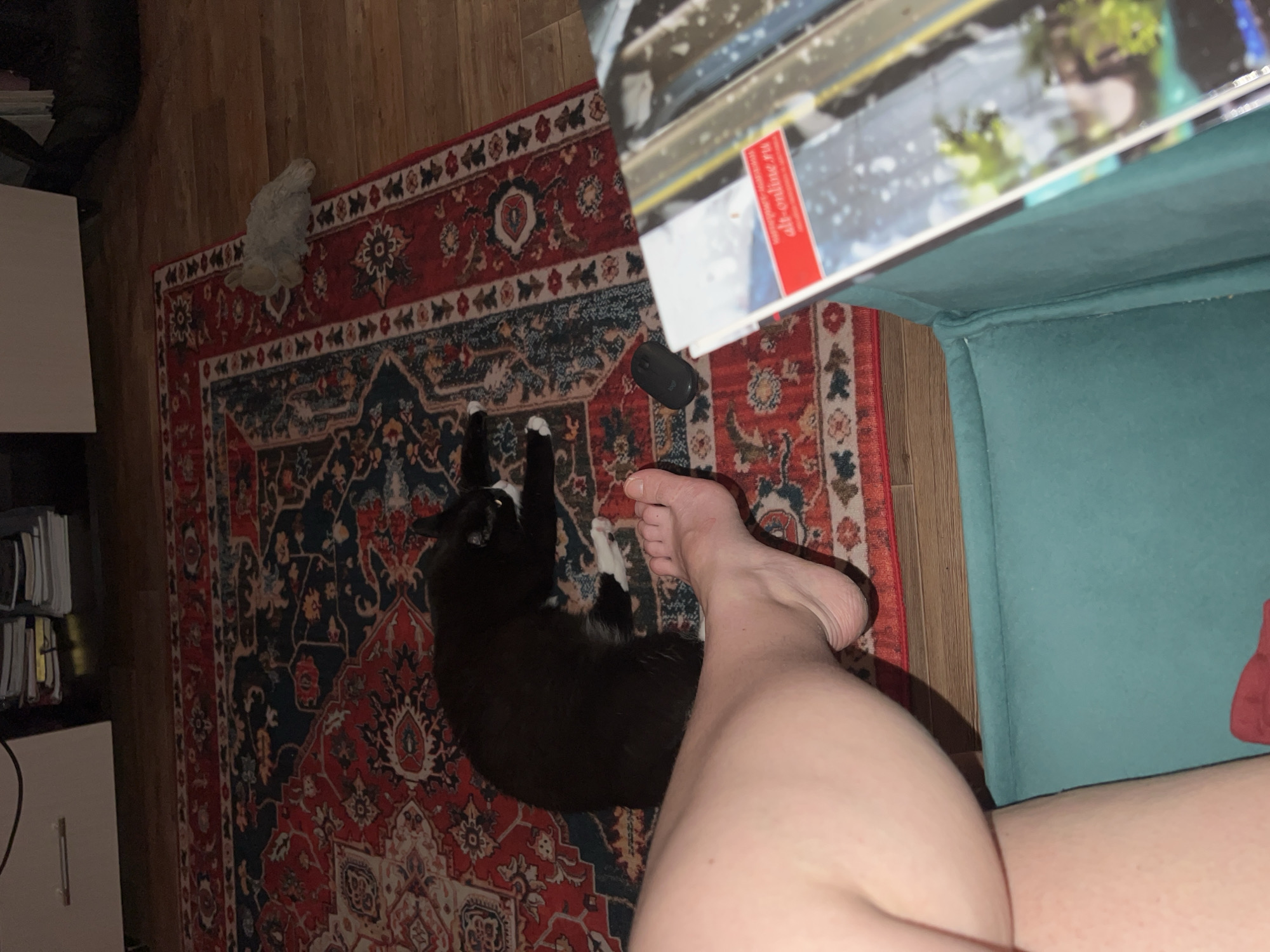 A black and white cat is lying on a Persian rug in a room. A human leg and foot are in the foreground, positioned on the left side of the frame. A magazine is propped up on a teal-colored piece of furniture, visible on the right side. The rug features a complex red and blue pattern. The floorboards are visible behind the rug. A stack of books or binders is on a shelf in the background. The scene appears to be indoors.