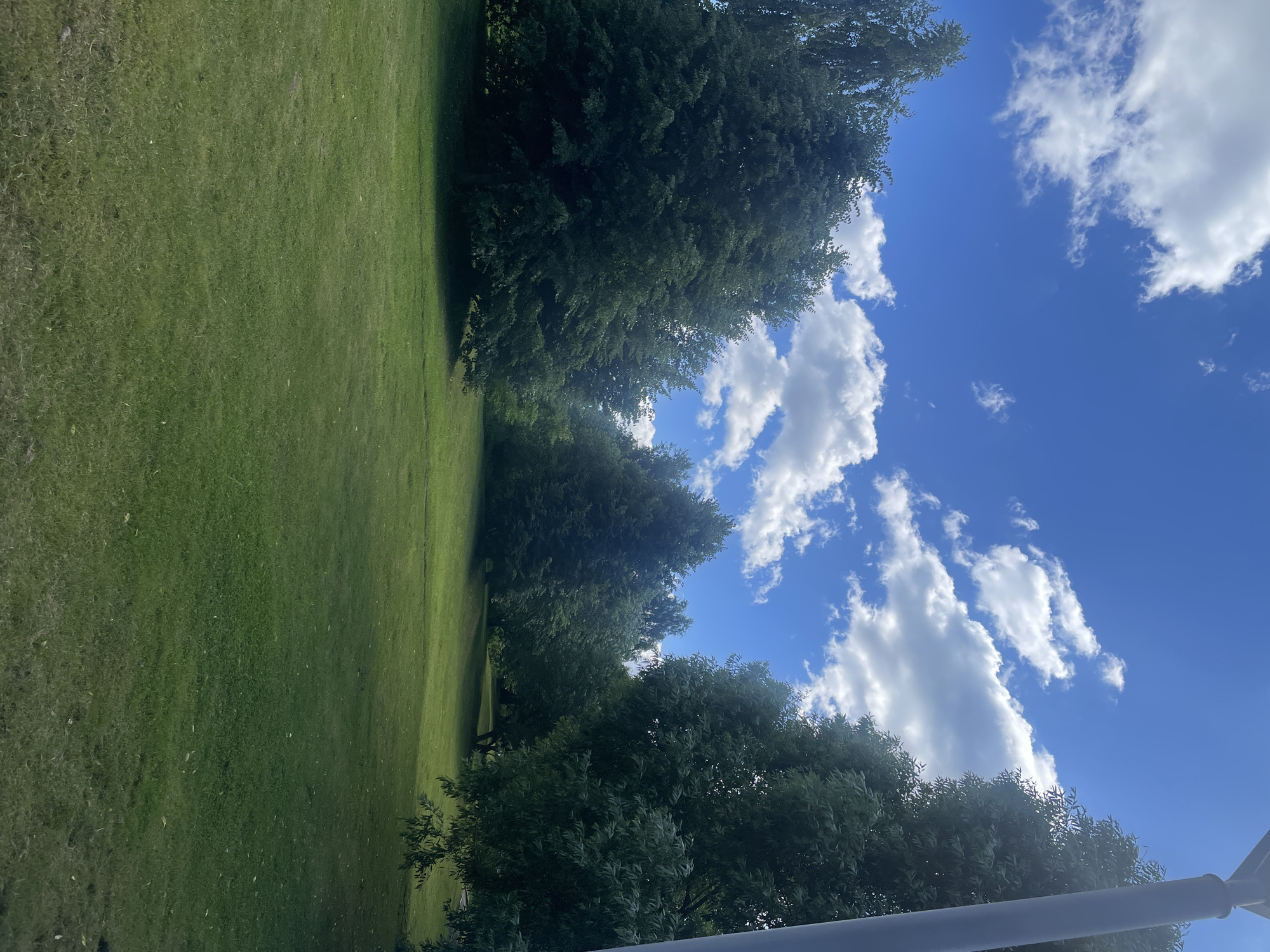 A wide shot captures a grassy park area under a bright blue sky with scattered white clouds. Several large, lush green trees dominate the mid-ground, forming a dense line across the park. The foreground is a well-maintained green lawn, casting faint shadows from the trees. The scene is peaceful and appears to be in a suburban or park setting.