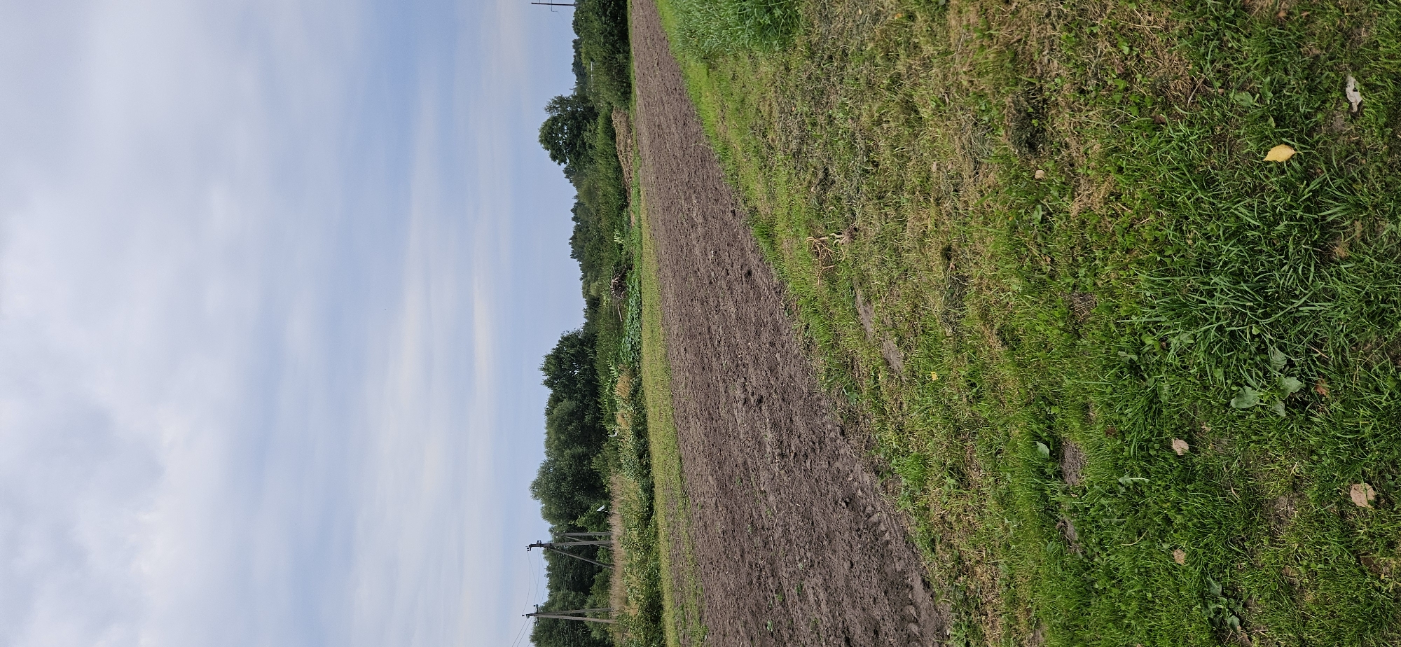 The image depicts a rural landscape in Мазалаўскі сельскі Савет, Belarus. In the foreground, a section of tilled brown earth is visible, with a clear division separating it from the adjacent green grassy area. The grassy area appears slightly unkempt, with patches of dried grass and some scattered leaves. In the middle ground, a line of lush green trees and vegetation forms a natural boundary. Beyond the trees, utility poles with wires are sparsely distributed, suggesting the presence of infrastructure. The sky is overcast with diffused light, indicating a cloudy day. No people or specific actions are captured in the scene.