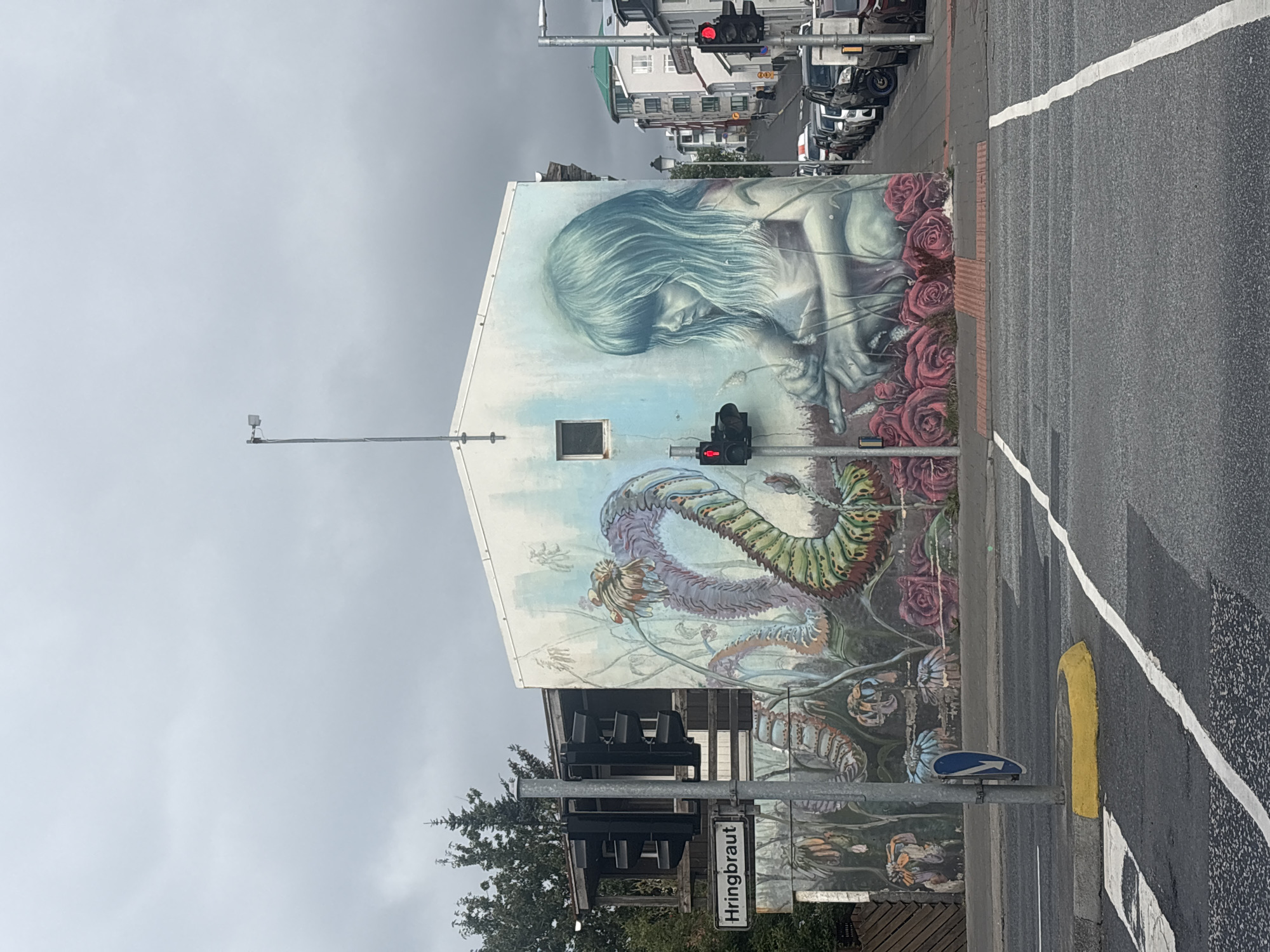 The image shows a mural on the side of a building in Reykjavik, Iceland. The mural depicts a young girl with long, flowing hair, rendered in shades of blue and grey, looking down with a pensive expression. She is surrounded by large, red roses and appears to be interacting with a plant. To the left of the girl, a segmented, serpentine creature with a floral head arches across the mural. The building is white with a single small window visible. A street sign in the lower left corner reads "Hringbraut". A traffic light with a red pedestrian signal is visible in front of the mural. The street is paved and there are cars parked along the sidewalk in the background, suggesting an urban environment. The sky is overcast.