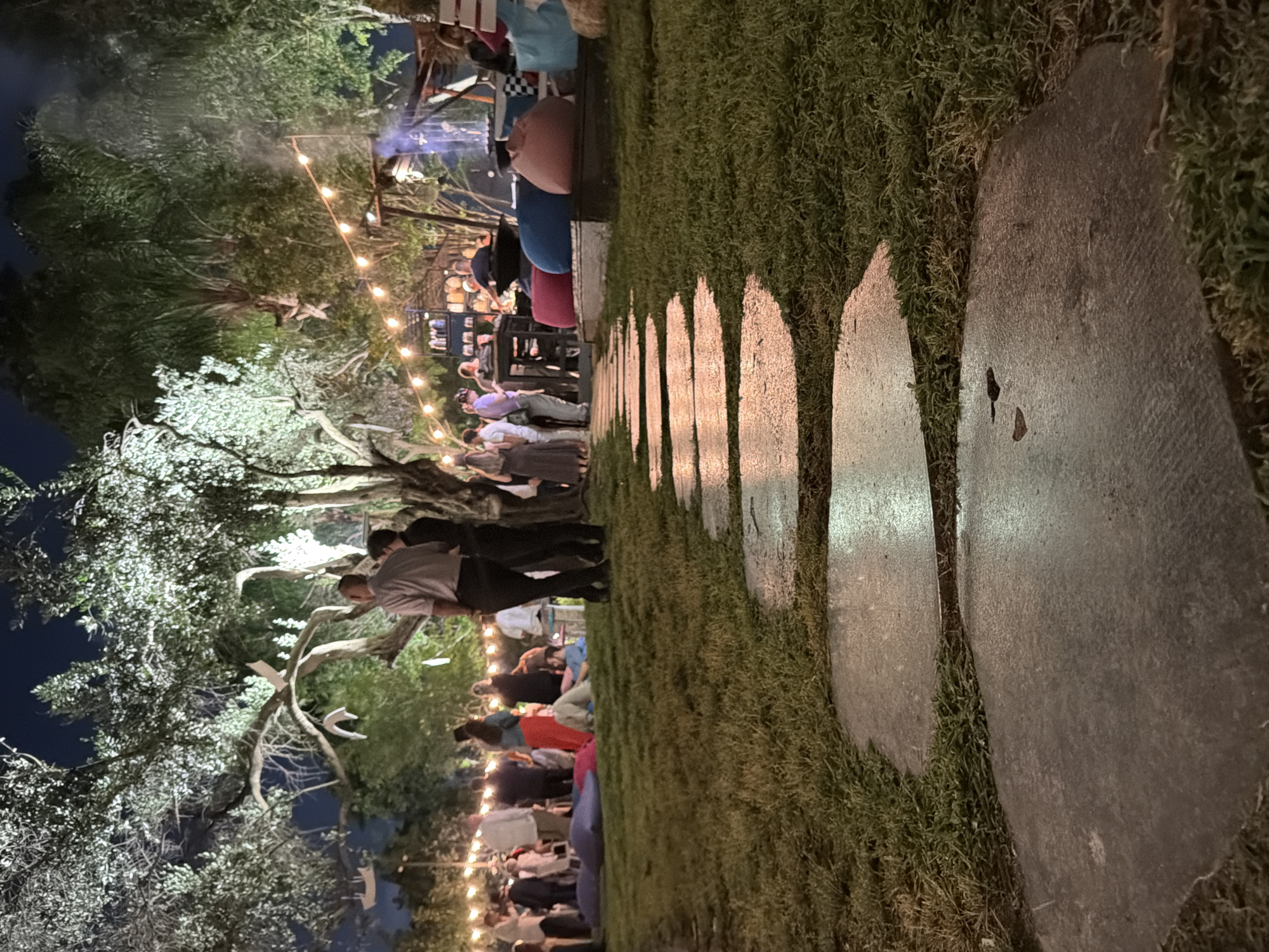 This media file depicts an outdoor evening gathering in Nir Eliyahu, Israel. The scene is illuminated by numerous warm string lights strung overhead and spotlights highlighting the foliage of large trees, creating a festive and inviting ambiance under a dark night sky.
In the foreground, a stone path consisting of irregularly shaped stepping stones extends diagonally across a lush, deep green grassy area. The path reflects the warm light, and fine moss or grass grows between the stones.
To the left, large trees with gnarled branches and dense green foliage are prominent, some with white, antler-like decorations hanging from their branches. These trees are lit from below, accentuating their forms against the dark sky. Other denser trees are visible in the background.
Numerous people are present, socializing and observing the event. Many individuals are standing and mingling, while others are seated on colorful beanbags or cushions (pink, blue, red, purple) arranged on the grass. Their attire appears casual. In the mid-ground, a group of people are seen standing and looking towards a more brightly lit area in the background.
In the background, a raised structure, possibly a stage, performance area, or bar, is visible with additional lighting. A faint haze or smoke is discernible around this area, suggesting an activity or performance is taking place there.
The overall atmosphere is relaxed and social, characteristic of an outdoor event or party. The time of day is clearly evening or night, indicated by the artificial lighting and the dark sky. No visible text is discernible in the image.
