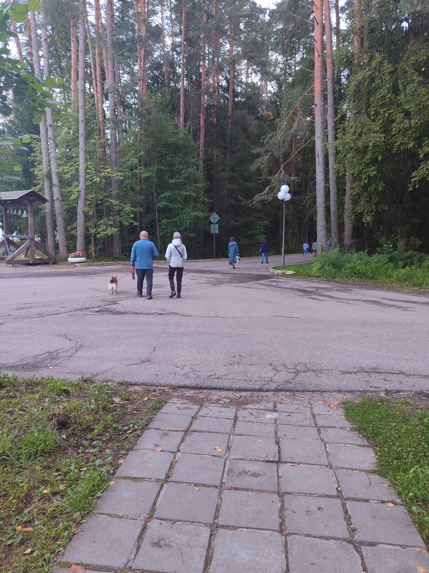 In an outdoor park setting, two individuals walk their dog on a paved path, with a dense forest of tall pine trees forming the backdrop. The path is cracked and weathered, with patches of green grass and fallen leaves along its edges. A wooden structure with a roof, possibly a gazebo or shelter, is visible to the left, with a white planter containing red flowers. In the distance, a cluster of three white globe lights on a pole illuminates the path. Several other figures can be seen walking further down the path and into the trees. The scene suggests a peaceful recreational area surrounded by nature.