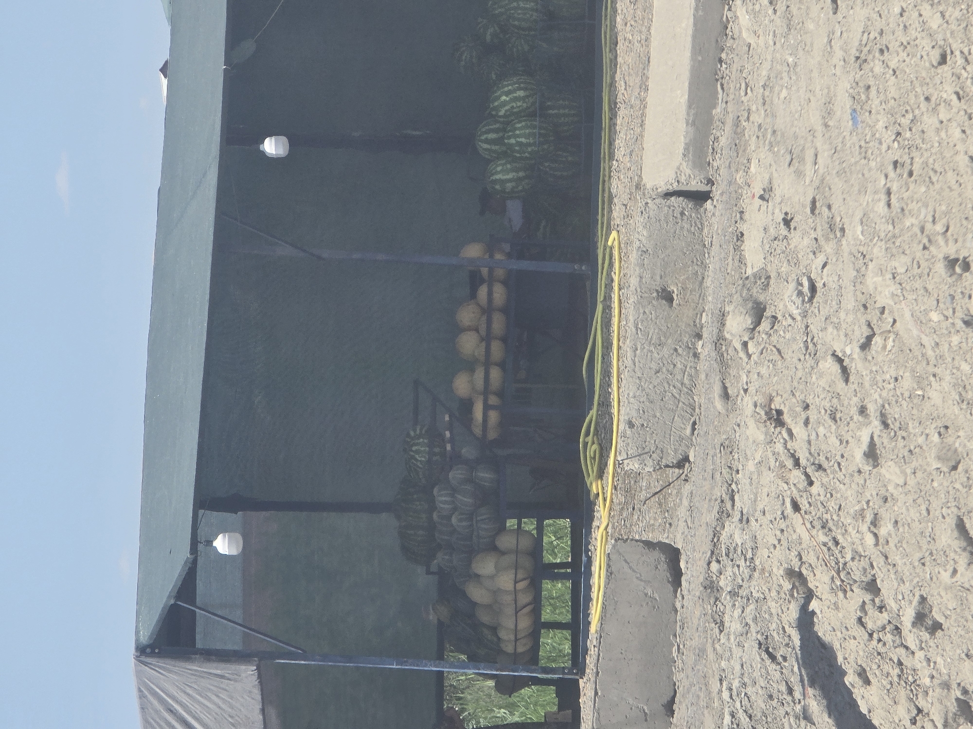 This image depicts an outdoor fruit stand in Bukhara, Uzbekistan. A green canopy, supported by metal poles, provides shade over a display of watermelons and possibly other melons. The watermelons are arranged on tiered metal racks. In the foreground, a yellow hose lies on the ground, and concrete barriers line the area. The ground is covered in gravel and dirt. The sky is clear and blue. There are no visible people in the frame.
