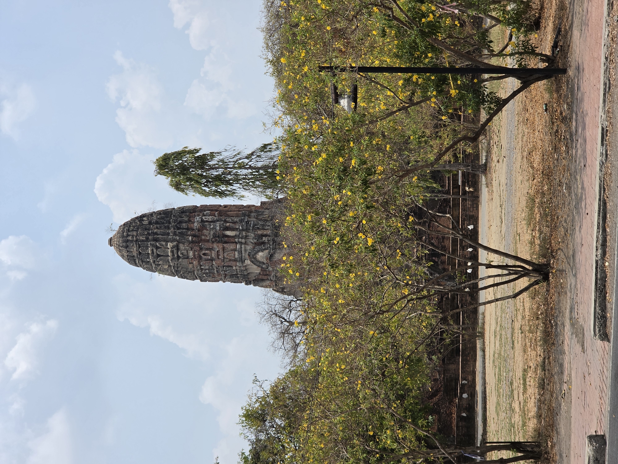 An exterior, vertical shot shows a brick temple tower in Phra Nakhon Si Ayutthaya City Municipality, Thailand, behind flowering trees.
The temple tower, slightly to the left of center, features many carved details and a top point. A wispy tree grows from the very top. In the foreground, a row of flowering trees with green leaves and yellow flowers hides the bottom of the brick temple. A light post is to the right of the temple.
In the background is a blue sky with scattered white clouds. The ground is dry and sandy. A red brick path is on the right of the frame.