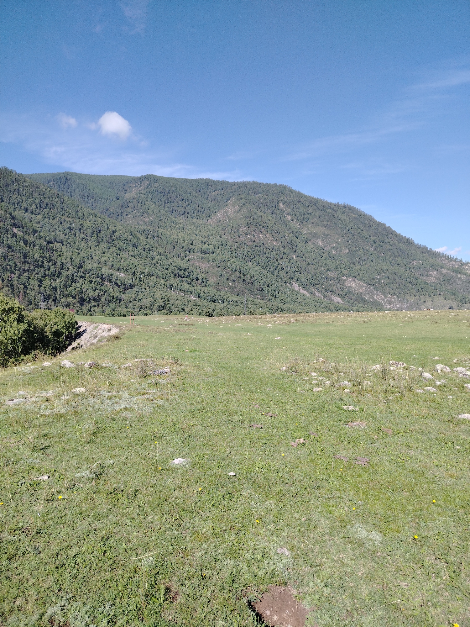 This is a wide-angle, eye-level, outdoor photograph of a vast, grassy field with a dense, green forest covering the slope of a large mountain in the background. The sky above is a clear, bright blue with a few small, white clouds. The field is mostly flat, with some scattered rocks and patches of dry grass. In the mid-ground, there is a dirt path or road leading towards the forest. The scene is located in the city of Iodro, Russia, and depicts a natural landscape with no visible human activity.