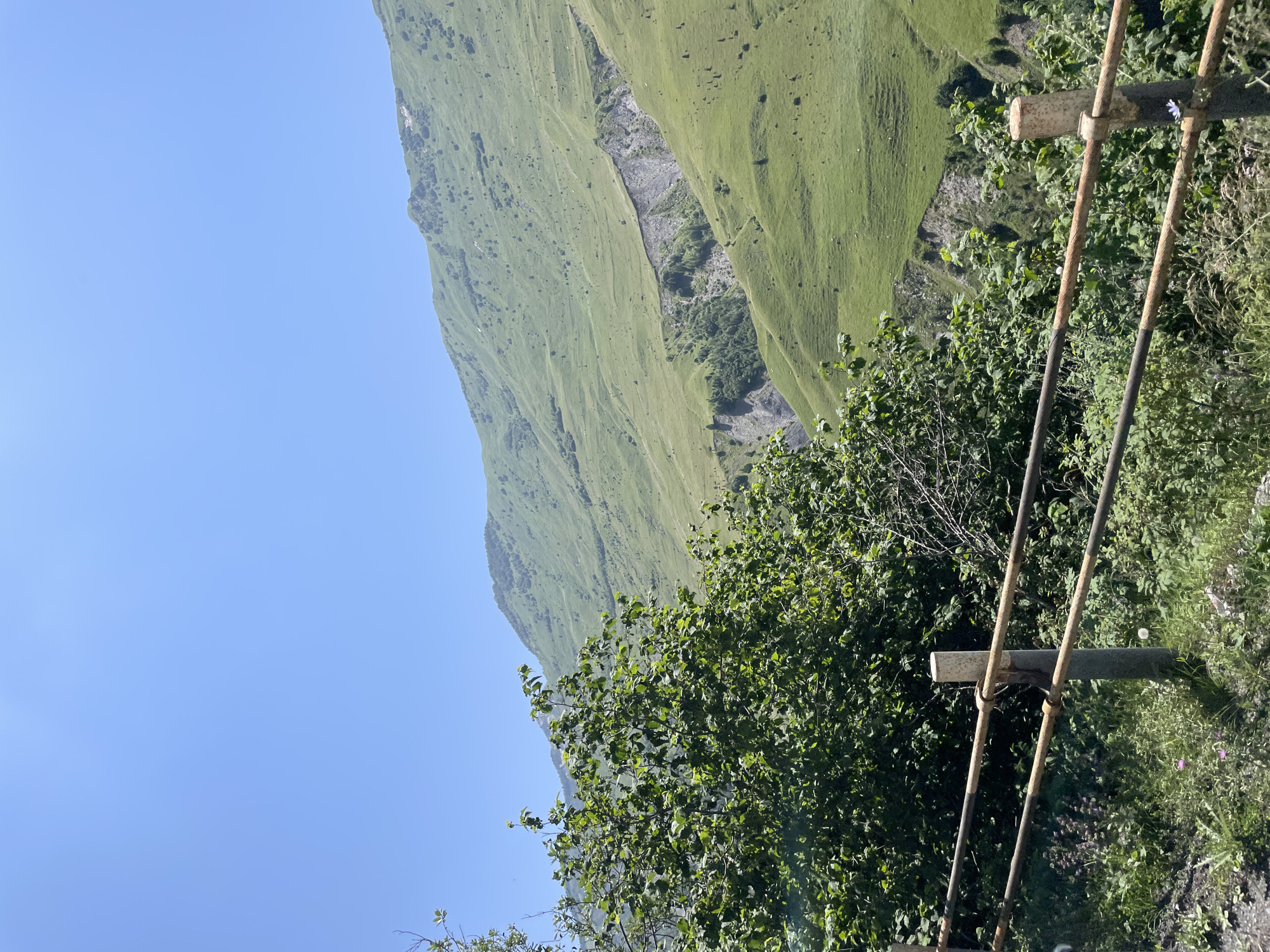 The image depicts a lush green mountain landscape under a clear blue sky. In the foreground, a rusty metal fence runs horizontally across the scene, partially obscured by dense green foliage. Behind the fence, a steep, verdant mountainside dominates the midground, with a visible scar or landslide area cutting across it. The mountains continue into the background, showing rolling hills dotted with sparse trees. The scene is likely from the Gudauri region of Georgia, known for its mountainous terrain and natural beauty. There are no people or animals visible in the image. The environment is natural and undeveloped, suggesting a rural or mountainous setting.