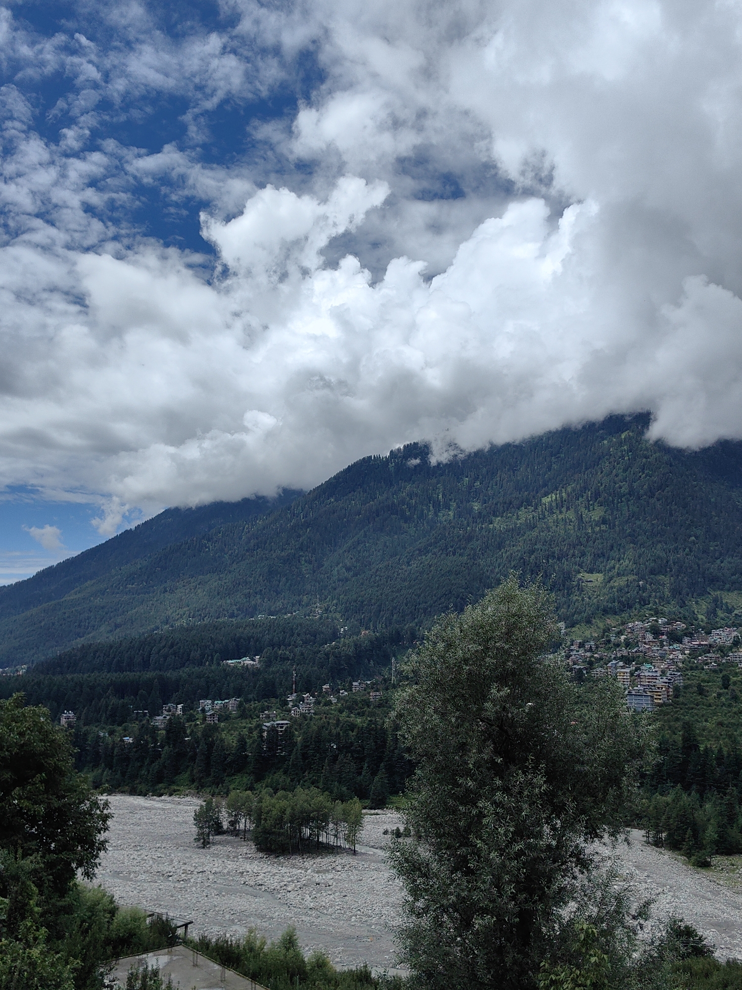 This is a landscape photograph taken in the city of Vashisht, India, under a cloudy sky. The image features a large, heavily forested mountain dominating the background. The mountain slopes are covered with dense evergreen trees, and a small town with buildings is visible nestled on the lower slopes. In the foreground, a wide, stony riverbed with sparse vegetation is present. A large tree with green foliage is prominently positioned on the right side of the frame, partially obscuring the view of the river and town. The overall scene depicts a natural mountain environment with signs of human settlement.