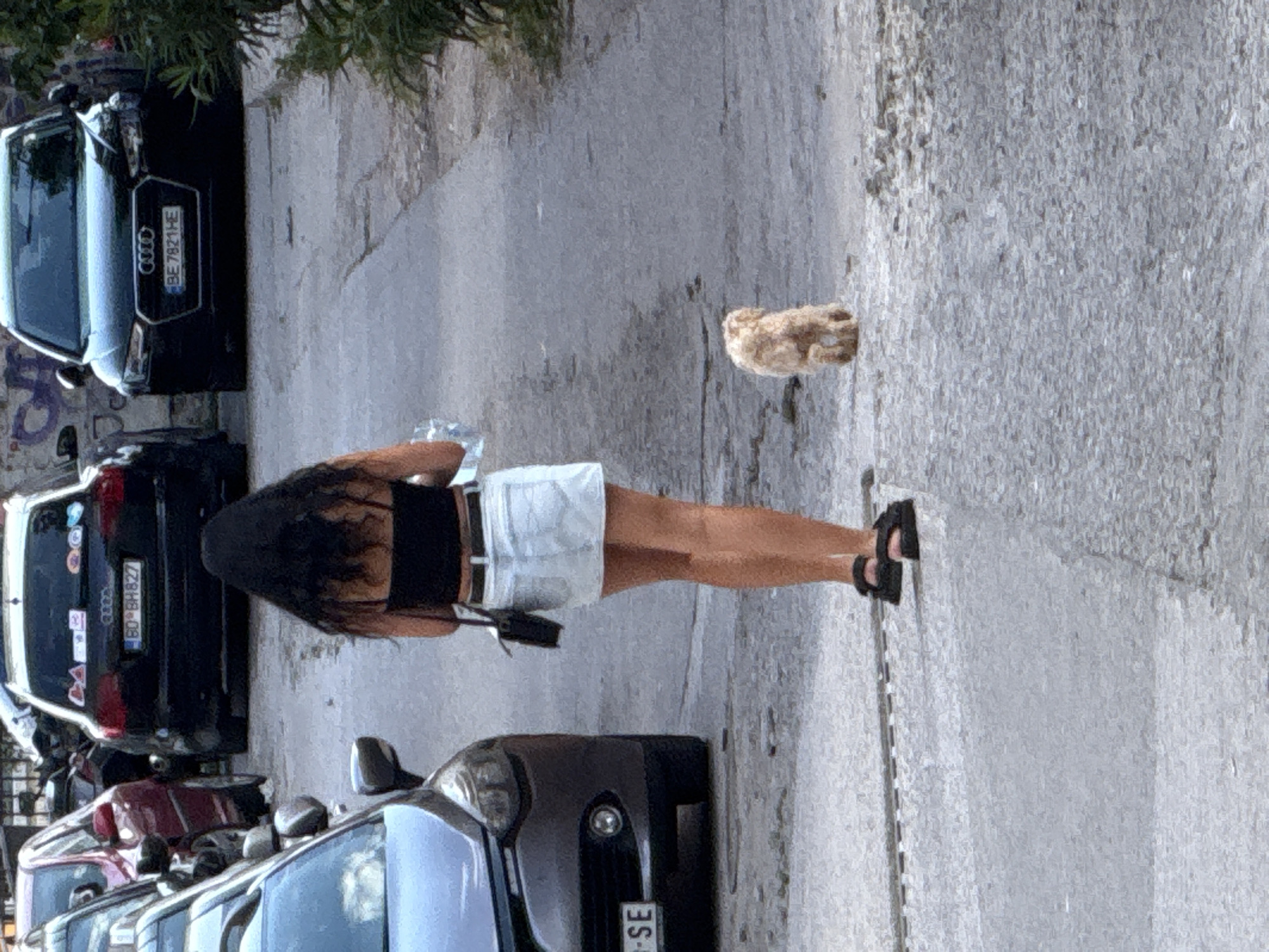 A woman with dark hair, wearing a black crop top and a light denim skirt, walks away from the camera. She has a black purse slung over her shoulder. She is wearing dark sandals. A small, light-colored dog follows her. They are on a paved street in what appears to be a residential or commercial area, possibly in Budva, Montenegro, given the presence of cars with European license plates. The street is lined with parked cars, including a dark Audi and a dark gray Renault. The ground is cracked and uneven. The lighting suggests it is daytime.