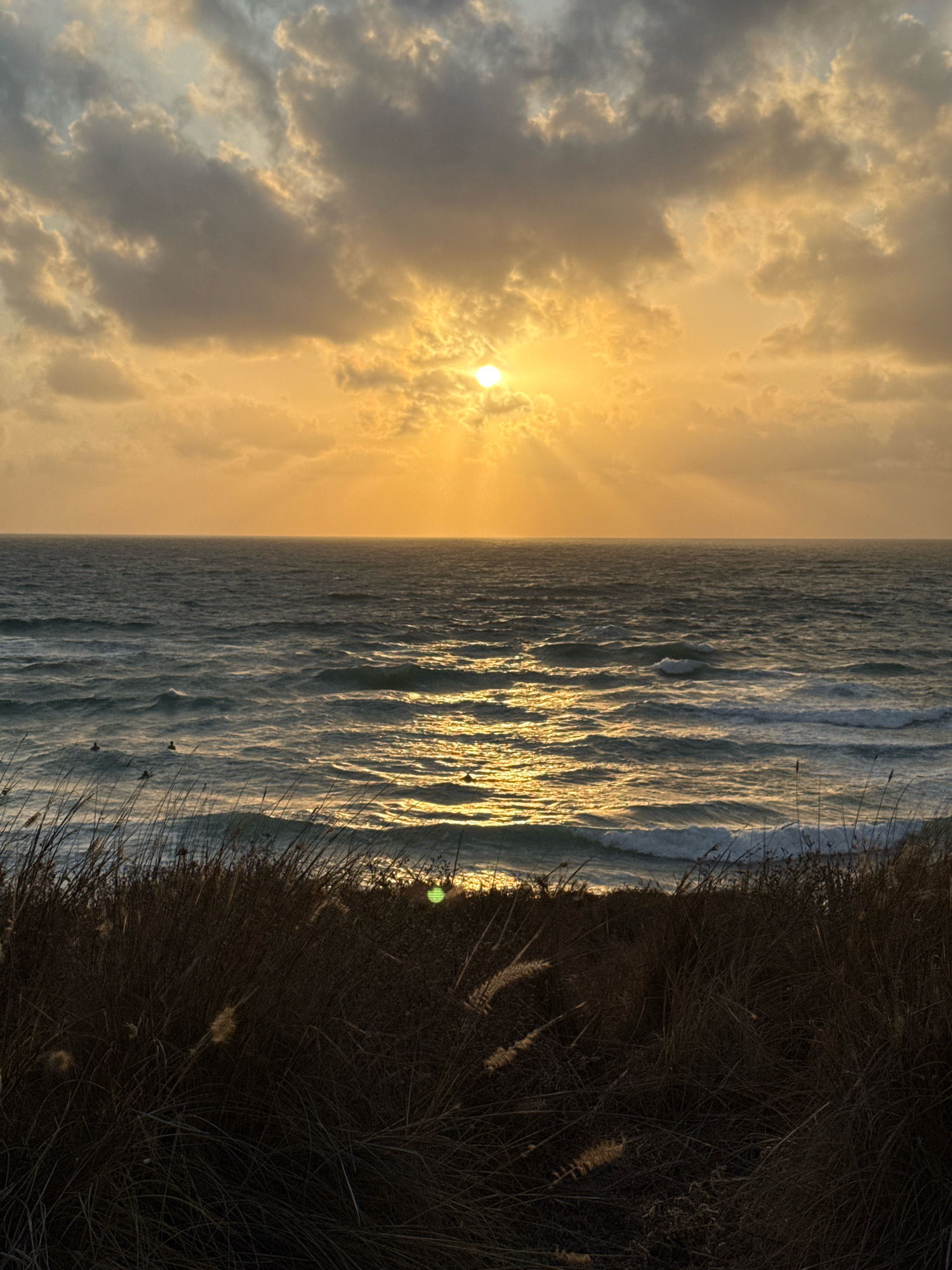 The image depicts a coastal scene at sunset, likely in Bat Yam, Israel, given the context. The sky is filled with dramatic clouds, ranging from dark gray to bright orange and yellow, illuminated by the setting sun peeking through. Rays of sunlight pierce through the clouds, casting a warm glow on the water. The sea is choppy, with waves reflecting the sunset's light. In the foreground, dark, dry grasses and reeds line the edge of what appears to be a dune or embankment, obscuring the ground. Several small, dark figures, presumed to be surfers, are visible in the water, scattered across the frame. The overall atmosphere is serene and natural, with the focus on the interplay of light and water.