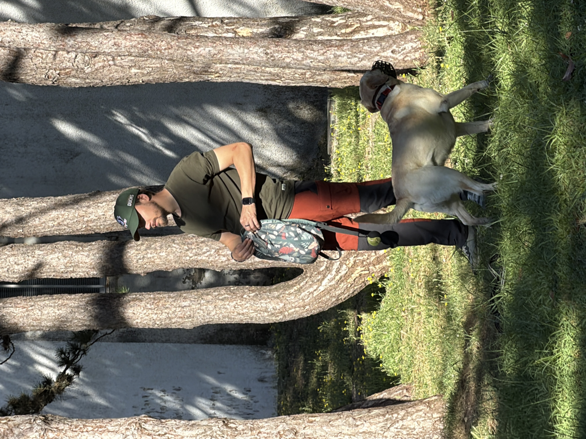 In Budva, Montenegro, a man wearing a green baseball cap, a dark olive t-shirt, and orange and black pants stands in a grassy area with several trees. He is holding a bag with a floral pattern and has a smartwatch on his left wrist. A light-colored dog, wearing a muzzle and a red and black collar, stands to his right. The dog is looking away from the camera. The environment appears to be outdoors, with sunlight casting shadows from the trees. There is a white wall in the background, partially obscured by the trees. Small yellow flowers are scattered in the grass.