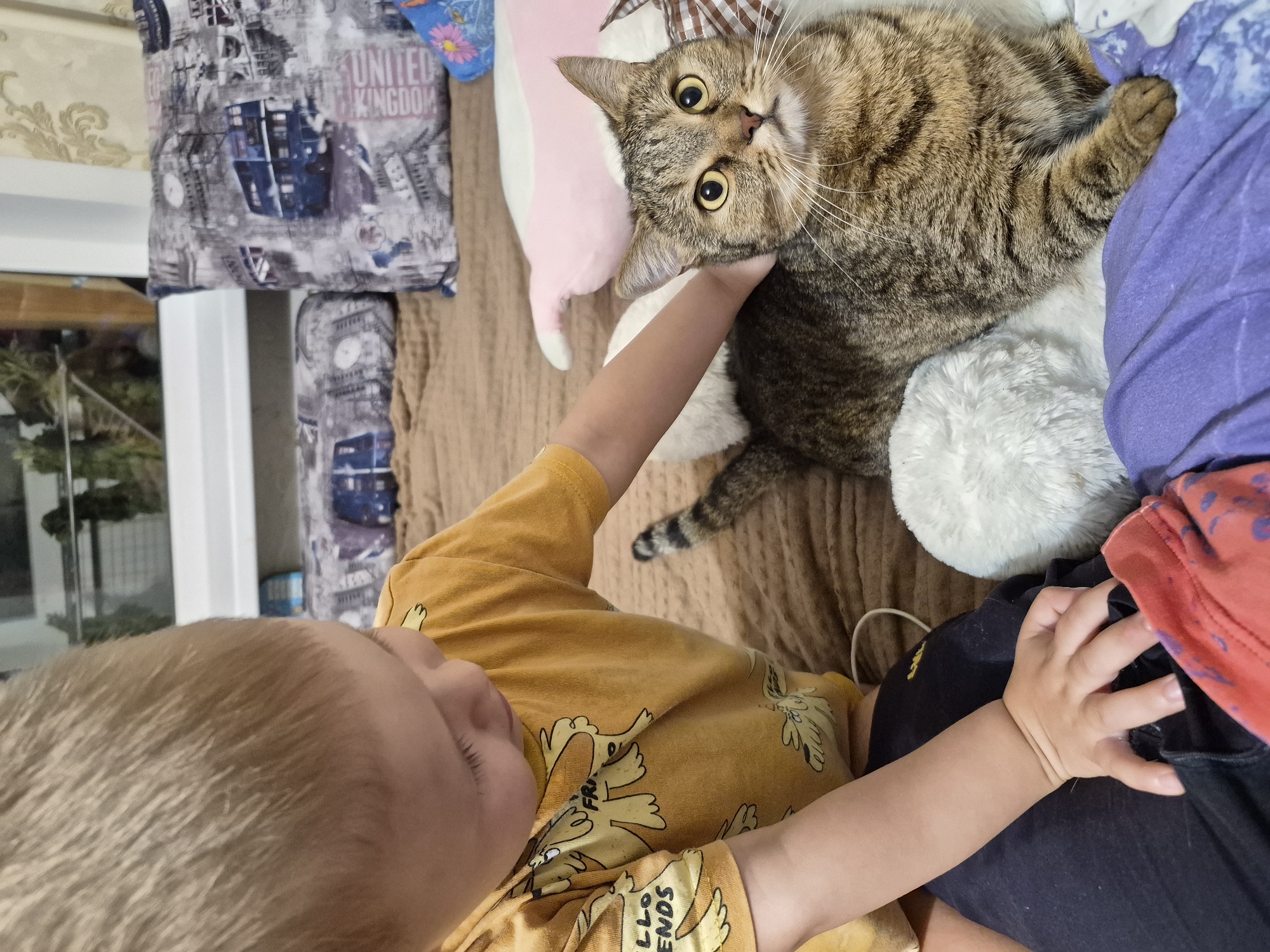 A young boy, wearing a yellow t-shirt with cartoon dogs, is sitting on a bed and petting a tabby cat. The cat is lying down and looking at the camera with a surprised expression. The bed is covered with a brown blanket, and there are several pillows with various designs, including one with a London bus motif. The scene appears to be indoors, possibly in a bedroom. The location is the city of Chaikovsky, Russia.
