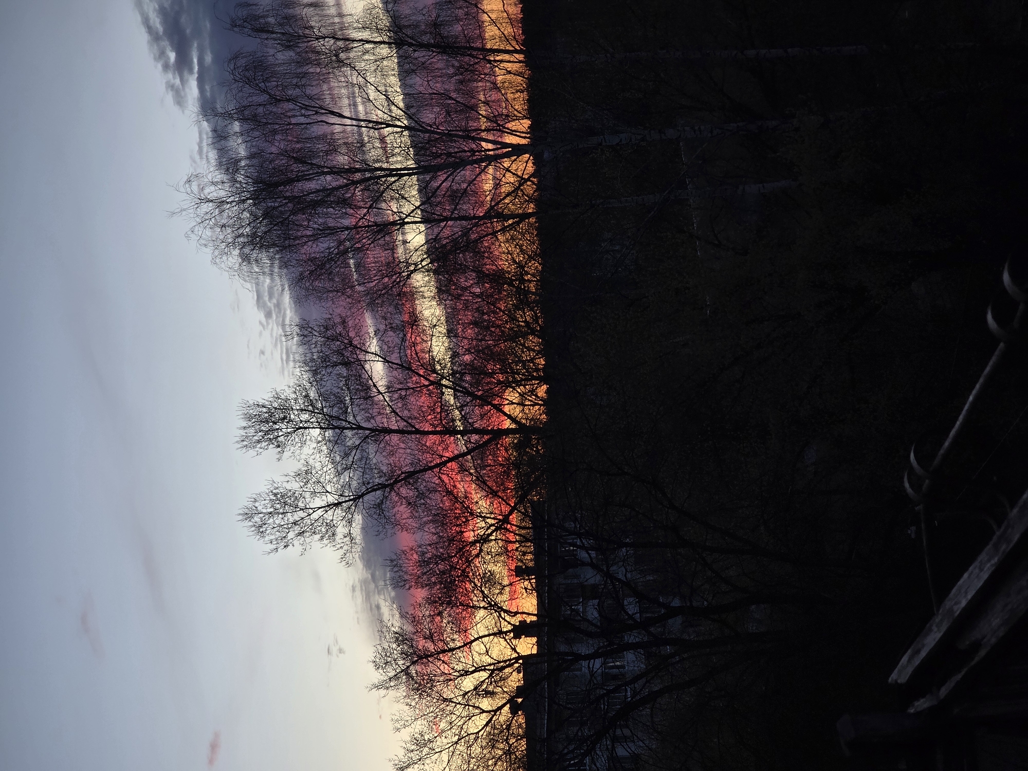 The image depicts a sunset in what appears to be a city, with bare trees silhouetted against the sky. The colors of the sunset range from pale blues and grays on the left to vibrant oranges, reds, and purples in the center, transitioning into a dark, almost black, area on the right. The silhouette of a building or structure is visible among the trees in the lower part of the sunset-lit area. A fence or part of a building structure is visible in the lower right corner. The perspective is upward, capturing the sky and treetops. Given the location identified as Chaikovsky, Russia, the landscape and architecture would reflect the typical features of a Russian urban setting.