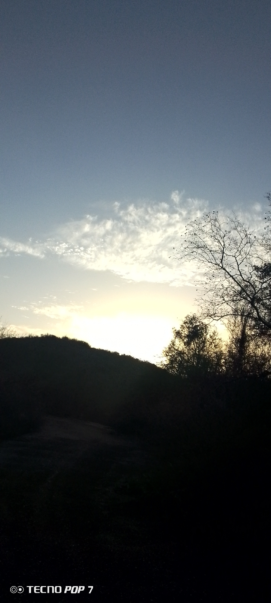 The image shows a landscape at dusk in Altagracia, Venezuela. The sky is light blue with wispy clouds near the horizon where the sun appears to be setting, obscured by a dark hill silhouette. To the right, bare branches of a tree extend into the sky. The foreground is mostly dark. The image was taken with a TECNO POP 7 phone.