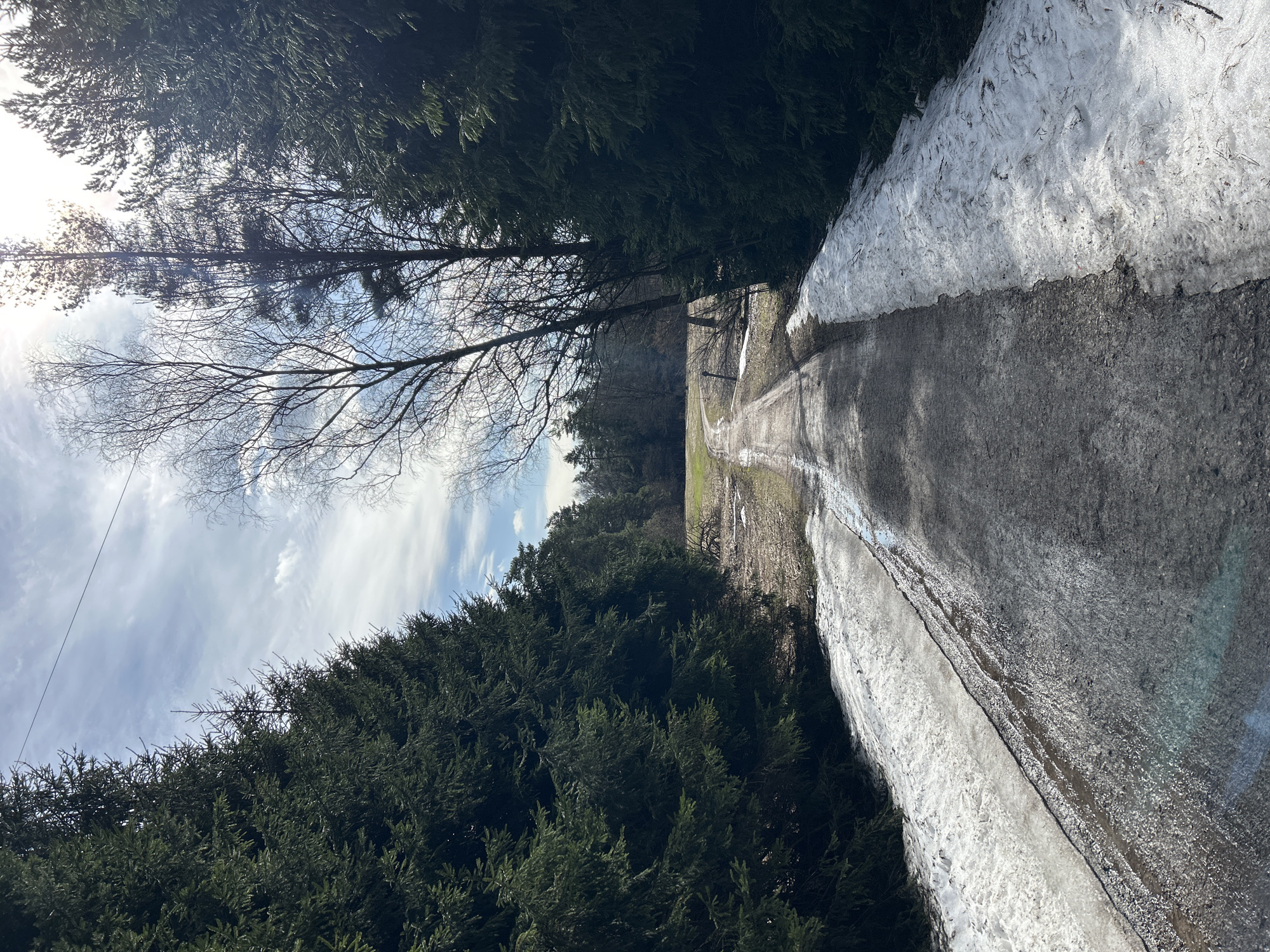 The image shows a narrow, dirt road lined with snow on the right and dense evergreen trees on both sides. In the distance, a green field can be seen. The sky above is partly cloudy with some bare trees in the foreground. There is no evidence to confirm or deny that it is located in Moscow, Russia. There is no evidence of any people, subjects, actions, or interactions.