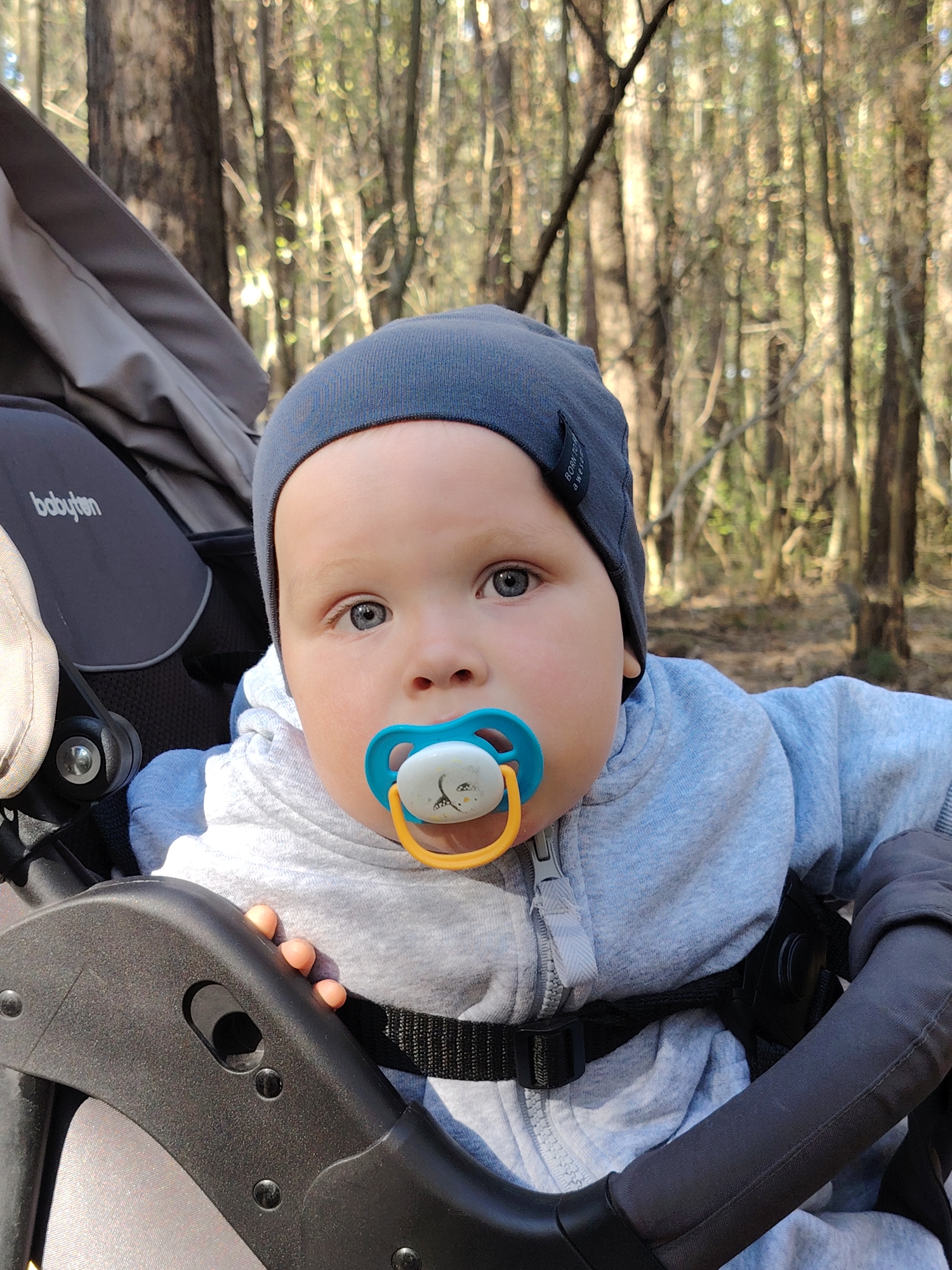 A baby wearing a dark blue beanie and a light grey hooded sweatshirt with a zipper is secured in a grey stroller with a black safety strap. The baby has a blue and yellow pacifier in their mouth and blue eyes. The stroller's brand name "babyton" is visible on the upper left. The background shows a forest with multiple trees. The photo may have been taken in a wooded area of the city of Chaikovsky, Russia.