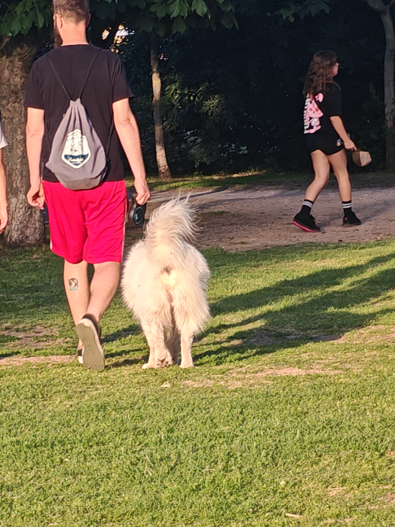 In an outdoor grassy area with trees in the background, a person with a black t-shirt, red shorts, and a gray backpack walks their fluffy white dog, which is facing away from the camera. To the right, a young person with a black t-shirt, black shorts, and striped socks walks in the same direction, holding a light-brown object. The ground appears to be a mixture of dirt and grass, with dappled sunlight creating shadows.