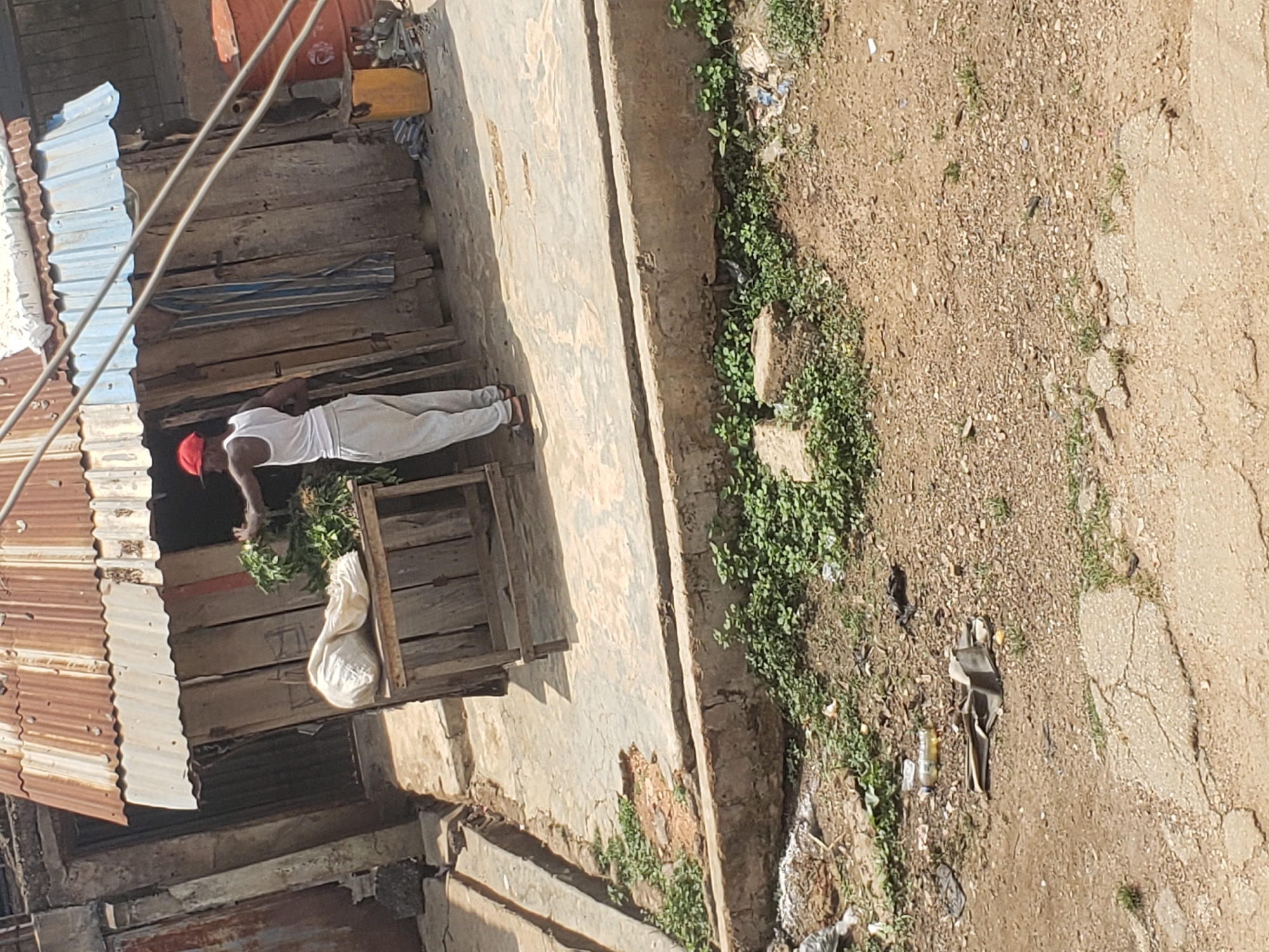 The image, rotated clockwise, shows an outdoor scene depicting a person tending to produce at a rudimentary stall under bright daylight. A sole individual, seen from behind, wears a white tank top, light-colored trousers, and a red cap, with bare feet visible. They are bending over a wooden structure that serves as a display or counter, arranging a large bundle of fresh green leafy plants. A white sack hangs from the structure.
The stall itself is constructed from rough wooden planks, topped with a weathered corrugated metal roof, showing patches of silver and rusty brown. Overhead, wires crisscross the frame. Behind the stall, additional objects include a reddish-brown barrel and a yellow container.
The setting appears to be a modest, possibly informal, commercial area. A concrete path or ledge runs horizontally across the mid-ground, separating the stall area from a rough, unpaved ground. This ground is a mixture of dirt and gravel, with patches of green weeds and small plants growing along the edges and in various spots. Scattered litter, including a plastic bottle and crumpled material, is visible on the ground. The overall impression is of a functional, open-air vendor setup in a developing or semi-urban environment. No discernible text is visible in the image.