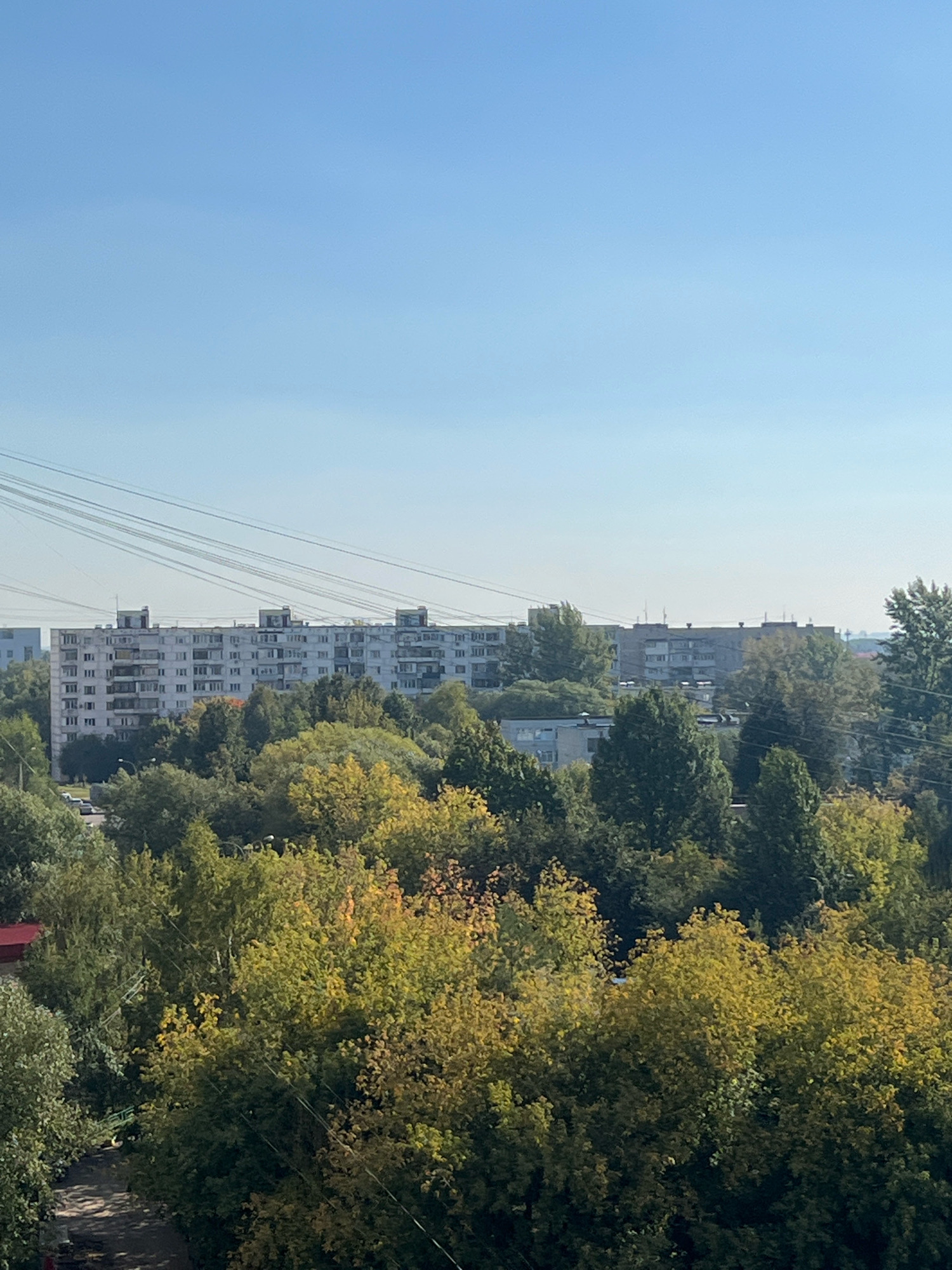 The image captures a daytime scene in Znamya Oktyabrya, Russia, featuring a residential apartment building situated behind a dense canopy of trees. The apartment building, a multi-story structure, appears to be constructed from concrete or similar material and exhibits a monotonous architectural style common in Soviet-era housing. Power lines are visible crisscrossing the sky above the building and extending across the frame. The foreground and midground are dominated by a variety of trees, some showing signs of autumnal color change with yellow and green foliage. The sky is clear and blue, suggesting fair weather. No people are visible in the image.