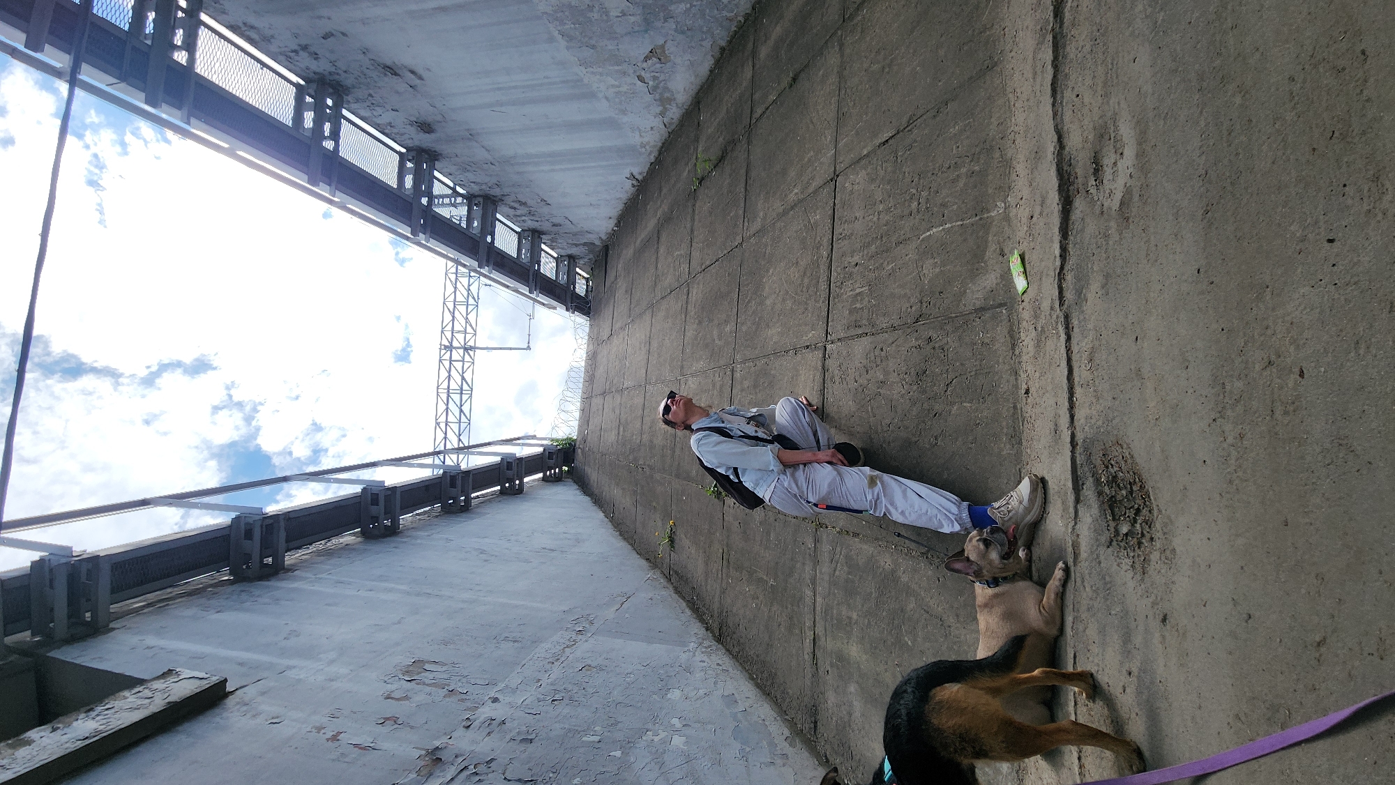 A low-angle shot depicts a man lounging against a high, concrete wall, possibly a bridge support, with two dogs nearby. The man is wearing a light-colored jacket, light-colored pants, sunglasses, and sneakers. A backpack rests on his back. One dog is a tan-colored French Bulldog lying down near the man's feet. The other dog, appearing to be a German Shepherd mix, is partially visible near the bottom of the frame, its leash extending into the scene. Above the man and the wall, a structure with metal supports and a mesh barrier can be seen against a blue sky with clouds. There is vegetation growing near the wall. The ground shows signs of peeling paint or deterioration. Based on prior knowledge, the location is Khimki, Russia.