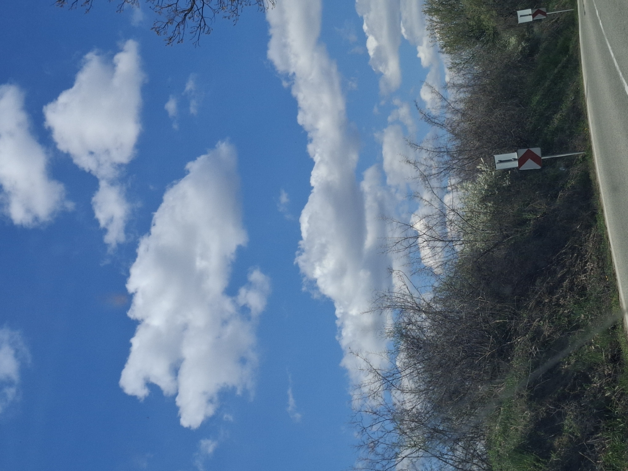 The image depicts a rural scene near Tsar Simeonovo, Bulgaria. A narrow asphalt road runs along the right edge of the frame, bordered by a dense thicket of bare trees and shrubs. Further into the thicket, two road signs are visible. The sky occupies the majority of the image, featuring a vibrant blue expanse dotted with elongated, puffy white clouds. Bare tree branches extend into the upper portion of the frame.