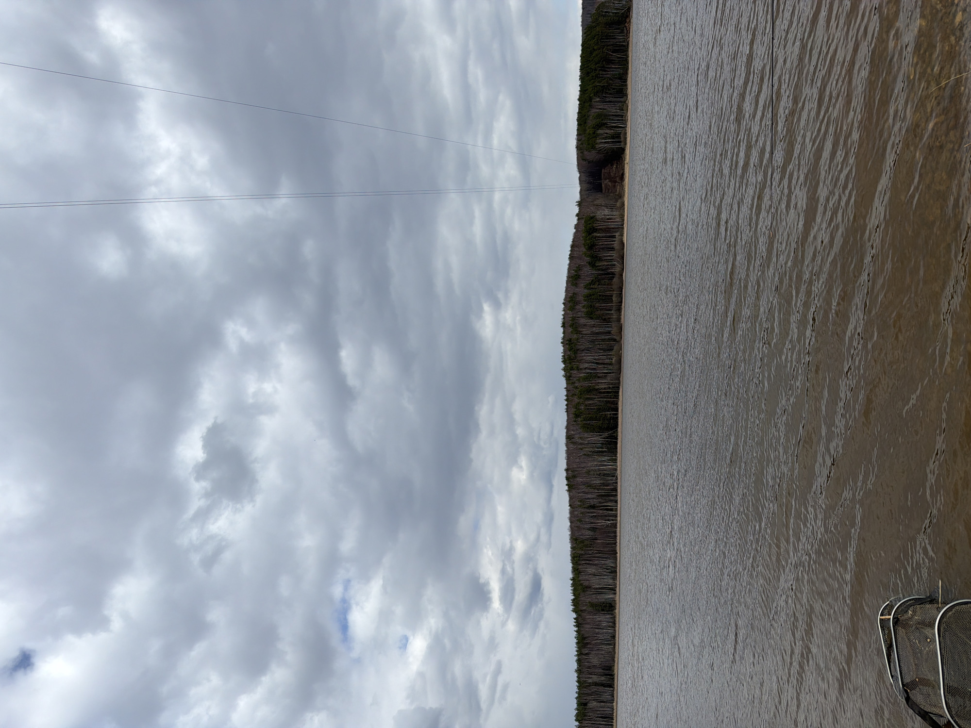 The image, when viewed in correct orientation, presents a broad natural landscape dominated by a large body of water under an overcast sky.
A vast expanse of murky, grey-brown water fills the lower portion of the frame. Its surface is covered with small, uniform ripples, suggesting a gentle breeze or current. Along the distant horizon, a dense, dark green forest line marks the far bank. The trees appear to be conifers, creating a solid, dark band against the sky. In some areas, the shoreline where the forest meets the water shows lighter, possibly sandy or muddy, terrain.
Above the horizon, a heavily clouded sky stretches across the upper half of the image. The clouds are predominantly shades of grey and white, forming a thick, uneven cover, though small hints of brighter sky or faint blue are visible in scattered patches. Multiple thin, dark wires, likely power lines or cables, run horizontally across the sky and over the water, spanning the width of the scene.
In the bottom right corner of the foreground, a portion of a metallic, mesh object resembling a fishing net or a boat structure is visible. The scene depicts an outdoor environment during daytime, characterized by cloudy weather and subdued lighting. The location context is Chaikovsky, Russia, consistent with a forested shoreline alongside a large body of water. There is no visible text in the image.