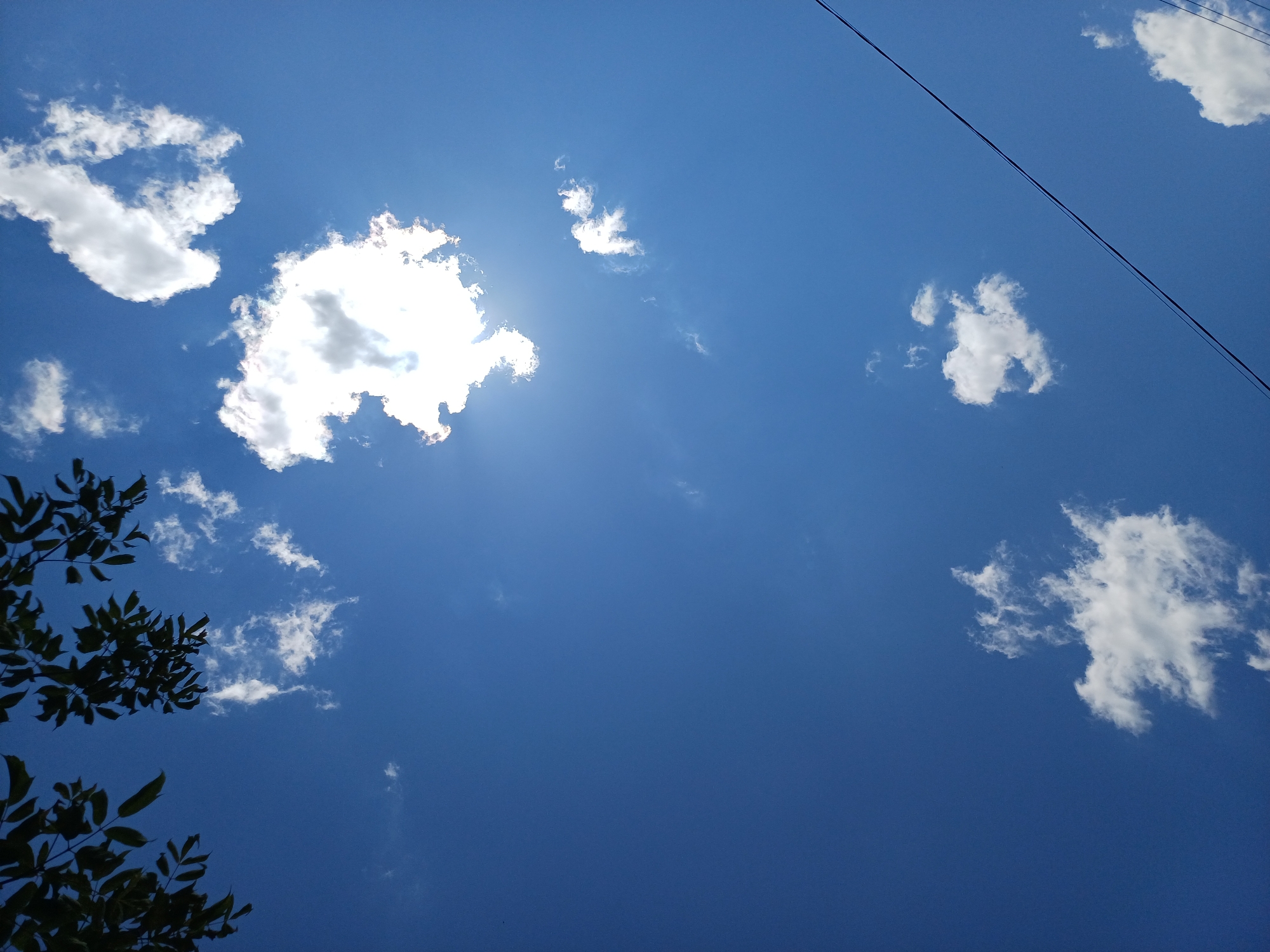 A low-angle, vertical shot captures a bright blue sky with scattered white clouds. In the upper left corner, dark green leaves and branches of a tree hang into the frame. A few small clouds are visible across the sky, with a larger, bright white cloud centrally located, partially obscuring the sun. The sun's rays are visible emanating from behind this cloud. Towards the bottom right of the image, a thin black electrical wire is stretched diagonally across the sky. No people or animals are present in the image. The scene appears to be an outdoor environment, potentially in Sulymivka, Ukraine, given the context of the prompt.