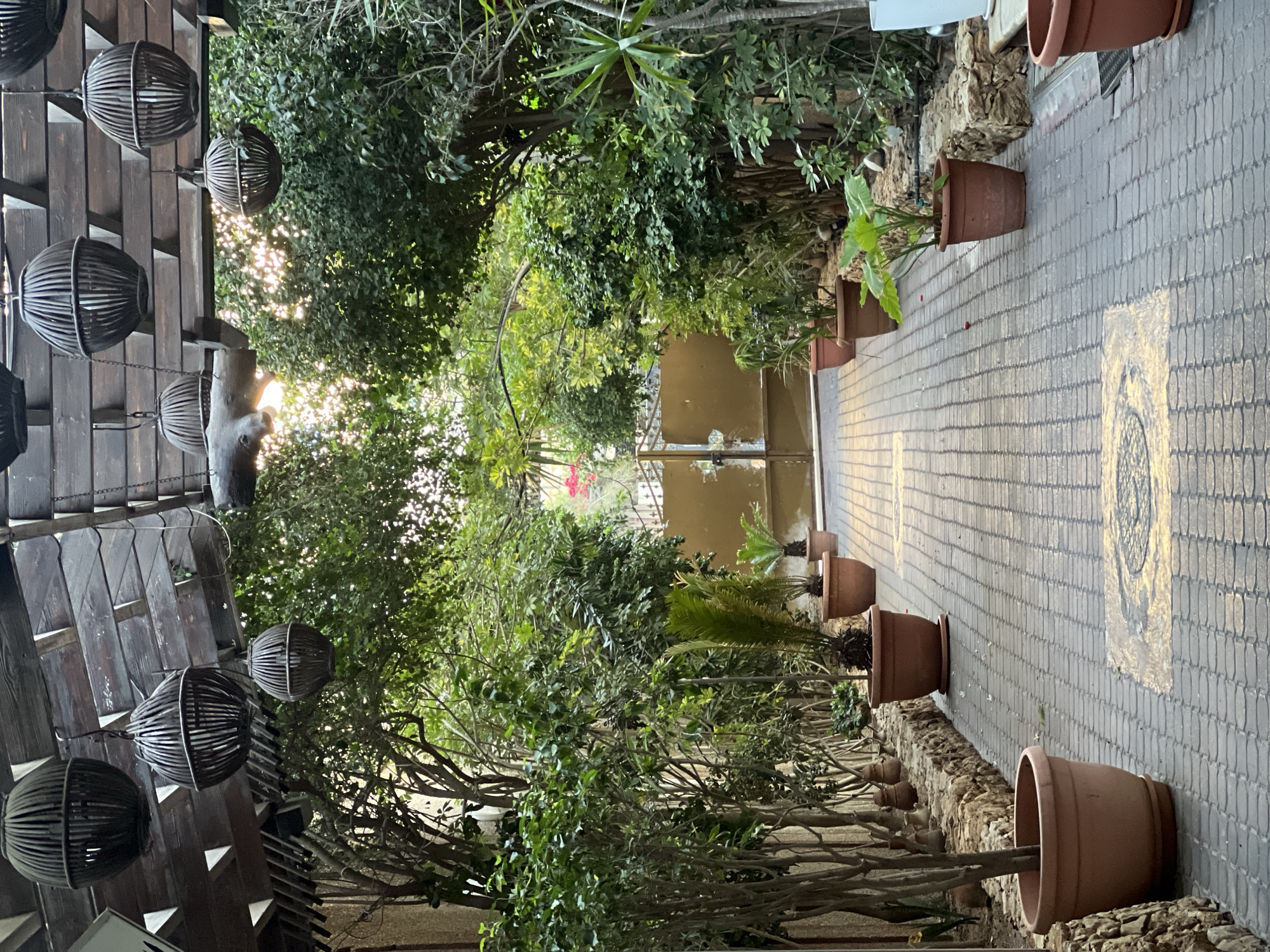 The image depicts a pathway through a lush, green garden area, likely an outdoor dining or seating space, under a wooden pergola. The pathway is paved with light-colored bricks arranged in a basket-weave pattern, with some sections featuring a yellow painted design. Large, round, dark brown planters containing various plants, including trees and smaller shrubs, line both sides of the pathway. In the background, a large, double metal gate, painted a muted gold color, is visible, suggesting an entrance or exit. Hanging from the wooden pergola are several dark, spherical decorative lamps made of woven material. The overall impression is one of a tranquil and verdant outdoor space. This scene is located in the city of Gaza, Palestinian Territories.