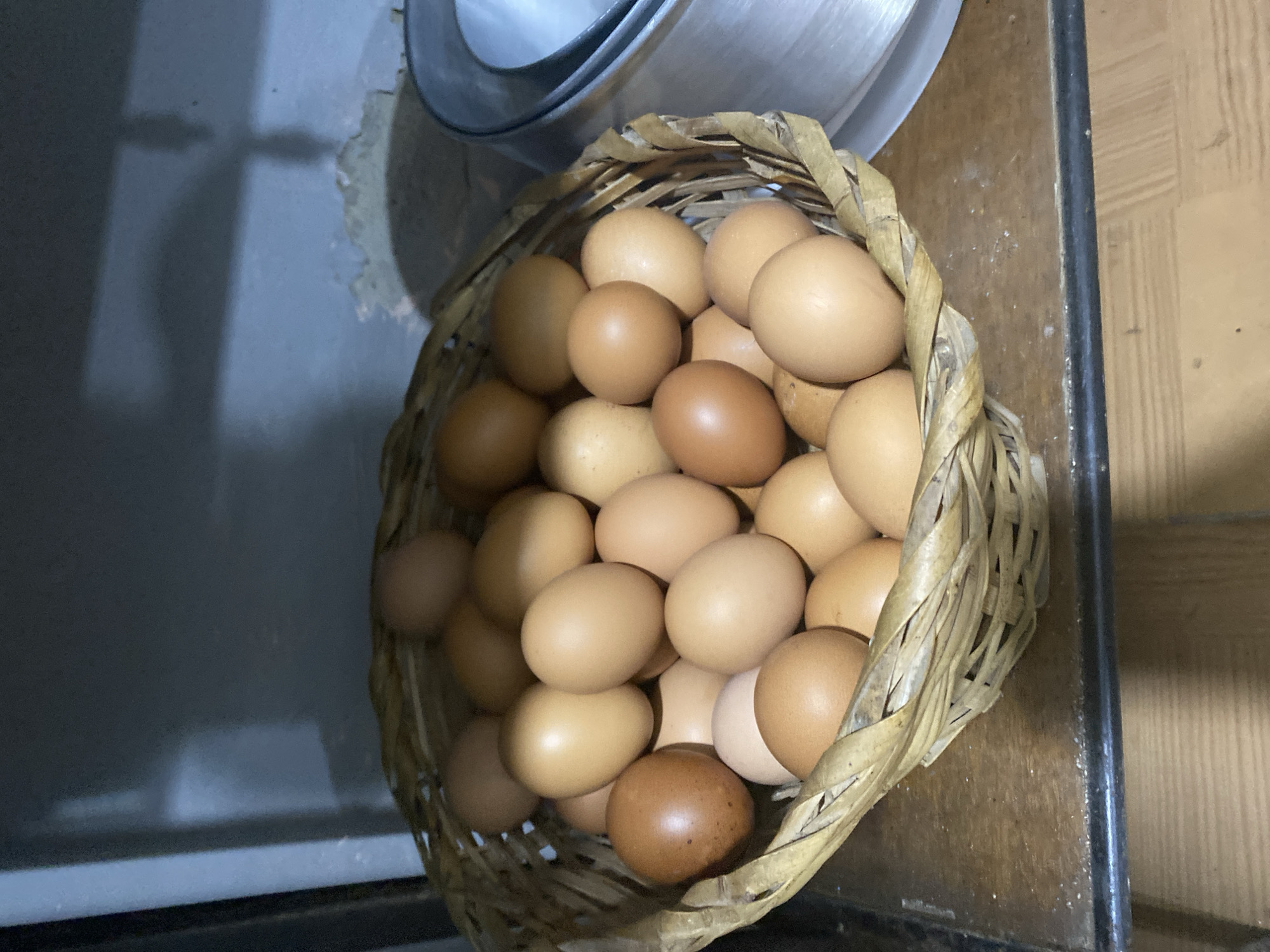 In El Cambur, Venezuela, a woven basket filled with a bounty of brown and beige eggs rests on a wooden surface. The eggs, of varying shades and sizes, are piled high, some nestled against others, creating a rustic and abundant display. The basket itself is crafted from natural fibers, its intricate weave adding to the visual appeal. The background consists of a textured, pale blue wall, which appears to be slightly damaged or peeling in places. To the right of the basket, a portion of a metallic object, possibly a container or a pot, is visible. The lighting in the scene is dim, casting subtle shadows that enhance the texture of the eggs and basket. The overall impression is one of simple, natural abundance, perhaps a glimpse into a local market or a home gathering fresh produce.