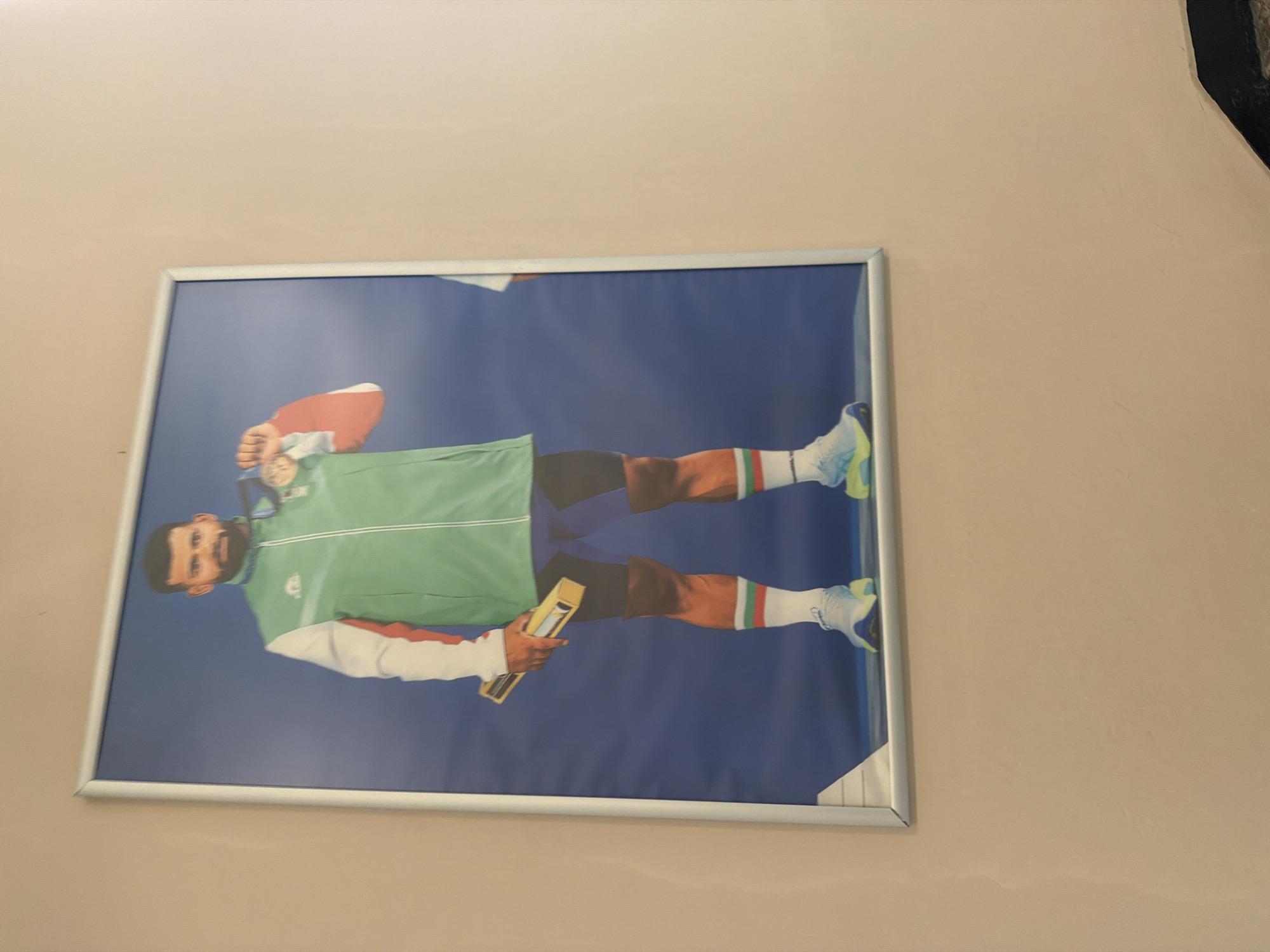 A framed picture depicting a male athlete is mounted on a plain, light beige wall. The image within the silver-colored frame features the man against a solid blue background. He is wearing a green tracksuit top with white and red accents on the sleeves, dark shorts or trousers, and athletic socks with prominent green, white, and red stripes. His footwear consists of white and light blue/yellow athletic shoes.
The athlete is shown with a gold medal hanging around his neck. In his left hand, he holds a rectangular, golden object, possibly an award or certificate. He has a slight smile, indicating satisfaction or pride. His facial features suggest he may be of Balkan or Middle Eastern descent. Given the location context of Sofia, Bulgaria, the green, white, and red colors of his uniform and socks strongly suggest he is a Bulgarian athlete, representing his country in a sporting achievement. No discernible text is visible on the medal, the award, or any part of his attire.