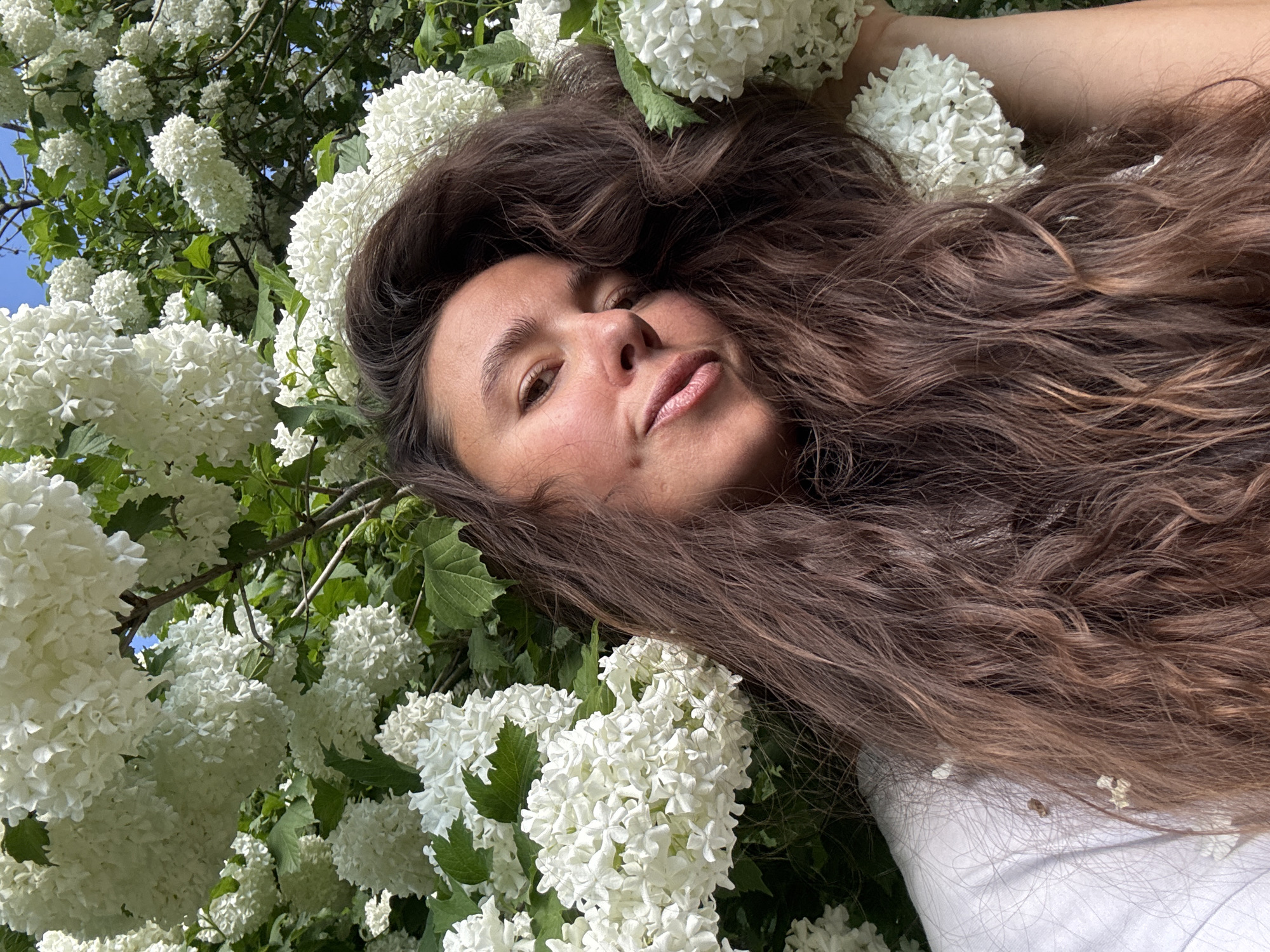 A woman with long, wavy brown hair is lying amongst white snowball flowers. Her face is visible, and she is looking slightly up at the camera. The background is filled with more of the white flowers and green leaves. A glimpse of blue sky is visible in the upper left corner. The location cannot be determined from the image.