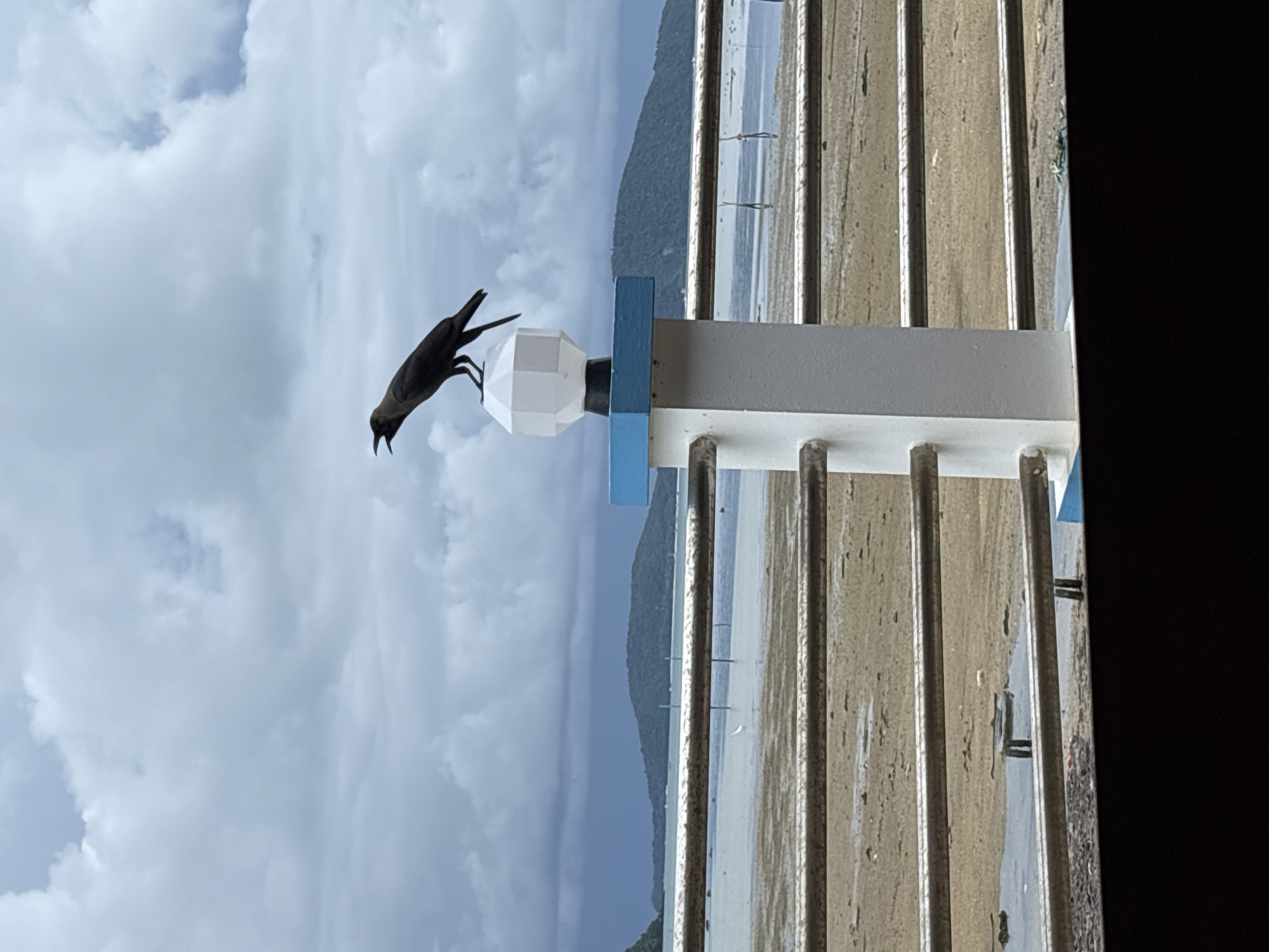 A black bird with its beak open is perched on top of a white, hexagonal lamp fixture that is mounted on a white post with a blue trim. The post is part of a railing system, with horizontal silver bars in the foreground. Behind the railing, a muddy shore meets calm water. In the distance, green, tree-covered hills under a cloudy, overcast sky. The scene appears to be a view of a beach or coastline in Rawai, Thailand.
