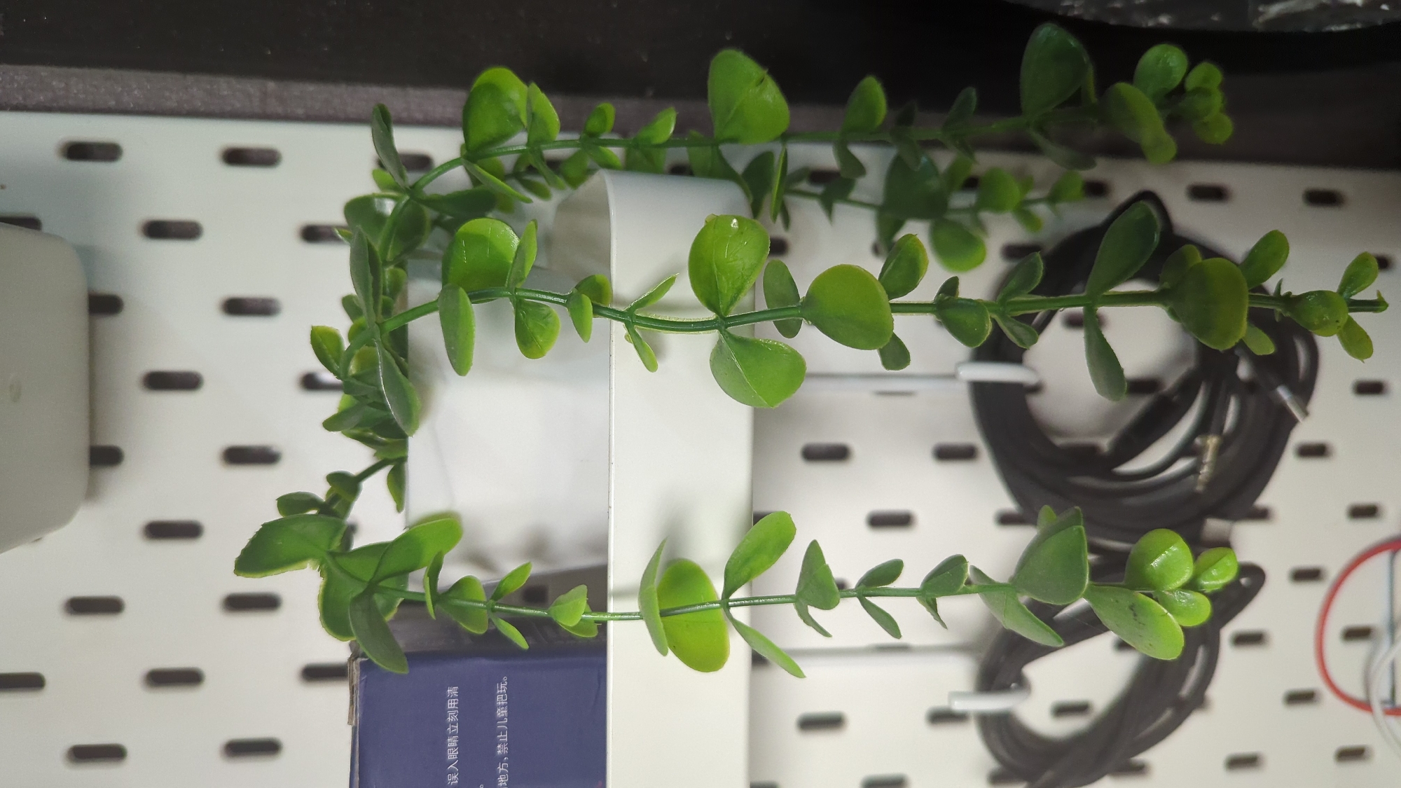 The image depicts a close-up view of a white pegboard with several black coiled cables hanging from hooks. In the foreground, a white pot holds a green artificial plant with trailing vines and small, rounded leaves. The plant's vines hang down in front of the pegboard and the cables. A portion of a blue and white cardboard box with Chinese text is visible on the left side of the image, partially obscured by the plant. The overall scene appears to be an indoor setting, possibly a home or office, organized with storage solutions. The image's focus is on the plant and the pegboard organization system. There is no identifiable location in Penjor, Indonesia within this image.