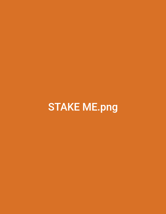 The image is a solid orange background with the text "STAKE ME.png" centered in white. The coordinates 26.757, 80.936 correspond to a location in Lucknow, India. There are no other people, objects, or actions depicted in the image. The environment is a plain, orange background.