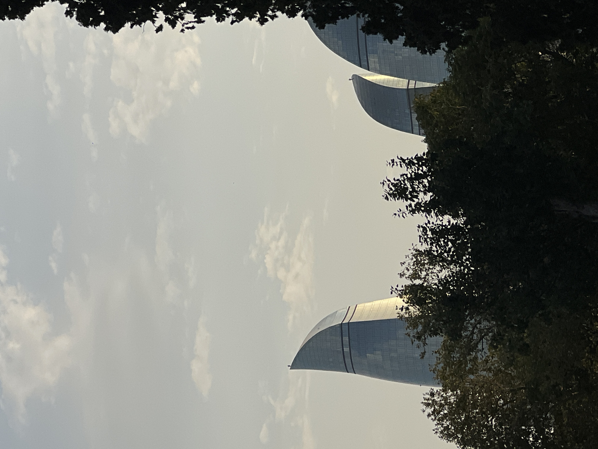The image shows the Flame Towers in Baku, Azerbaijan, as seen through trees. Three distinct towers, characterized by their flame-like shape and glass facades, are visible. The sky is overcast with scattered clouds. A lone figure stands at the apex of the leftmost tower. The foreground is dominated by dark, silhouetted foliage, obscuring the lower portions of the towers and the ground. The lighting suggests it is either early morning or late afternoon.